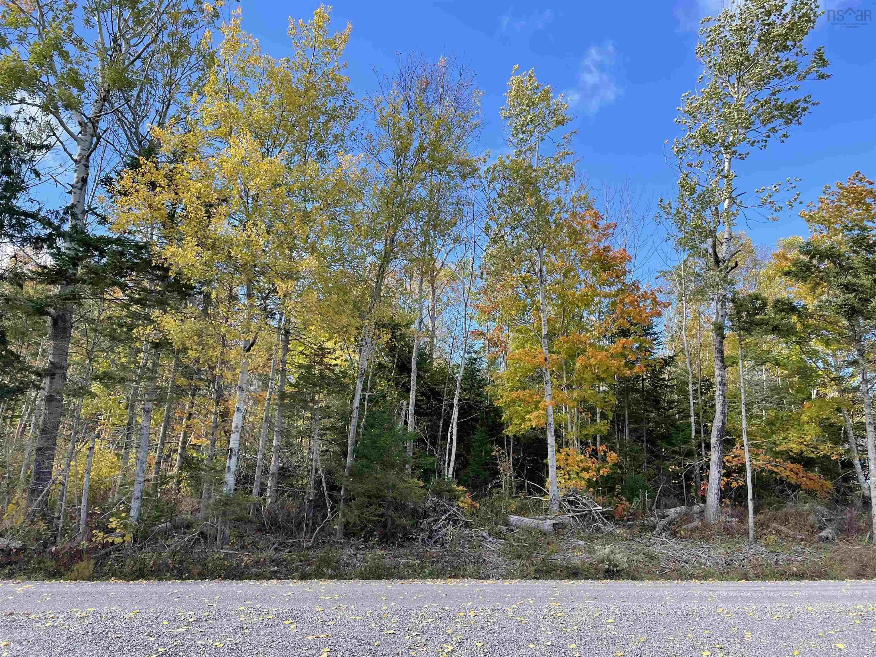 0.514 Acre Lot Owen Road, Hardwood Hill Ns B0k 1r0, ,Land,For Sale,Owen,202424749