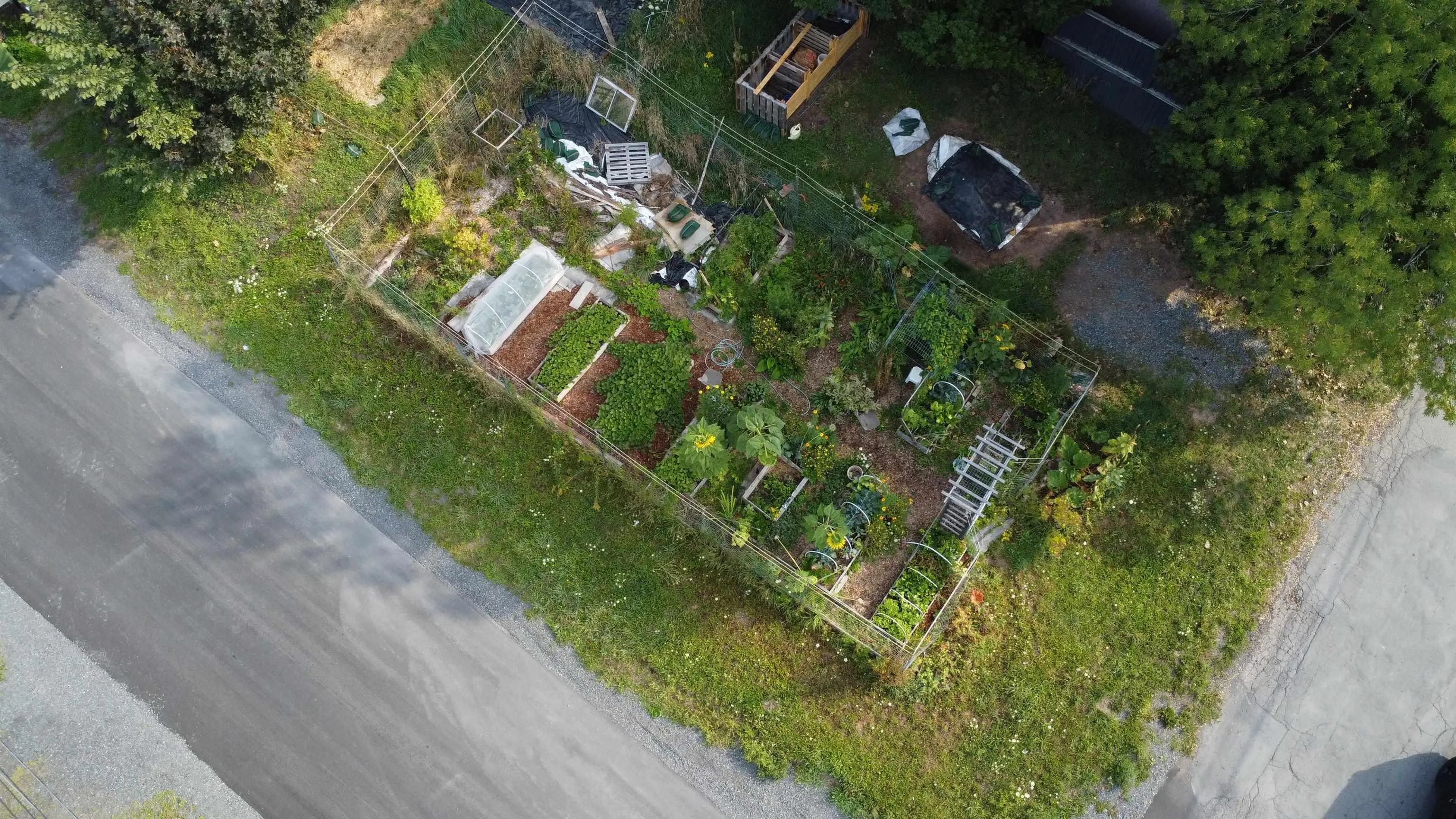 104 St Andrews Street, Pictou, NS B0K 1H0, ,Land,For Sale,St. Andrews,202523267