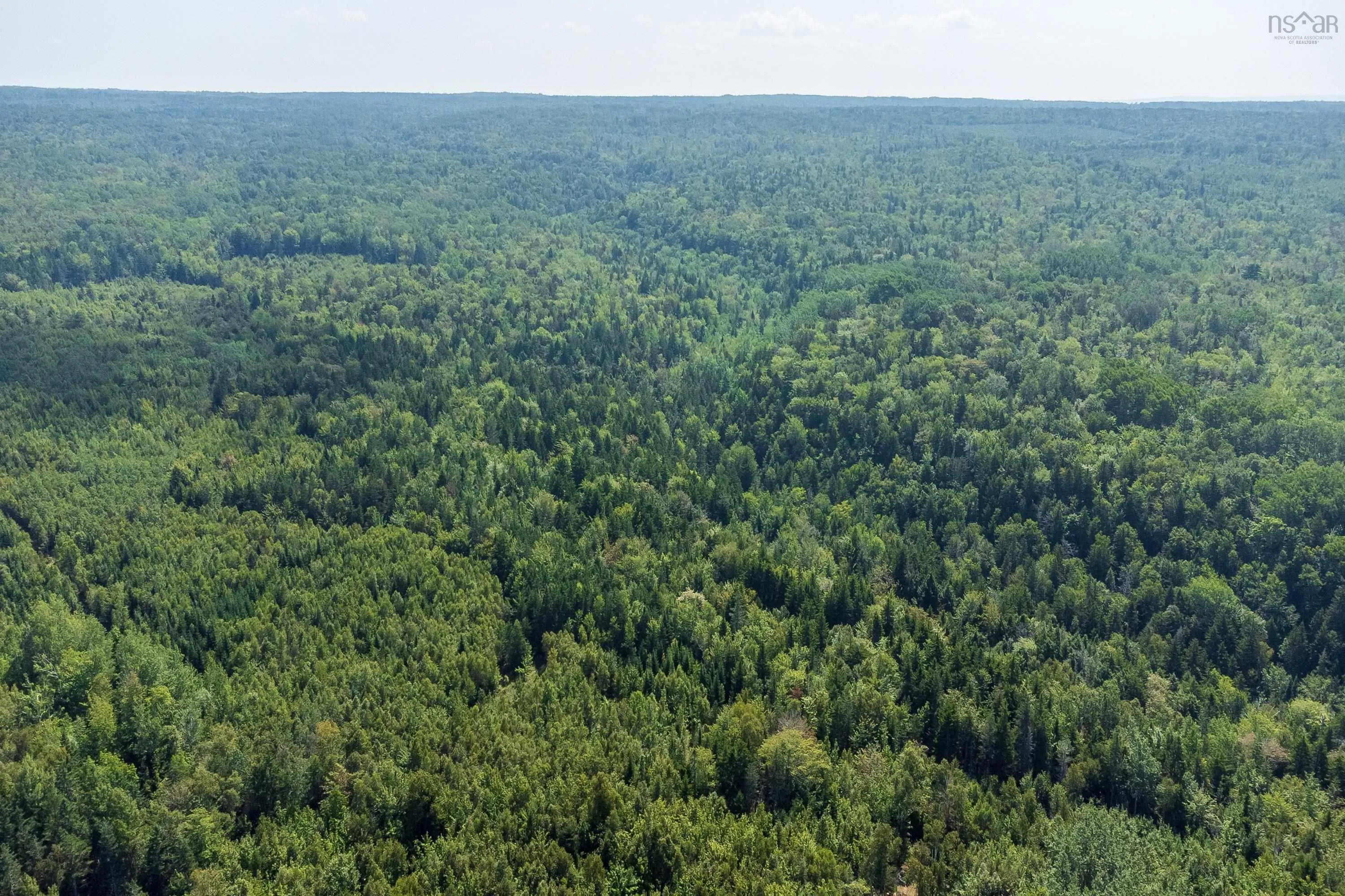 Lots Mcnally Road, Victoria Harbour Ns B0p 1c0, ,Land,For Sale,Mcnally,202404559