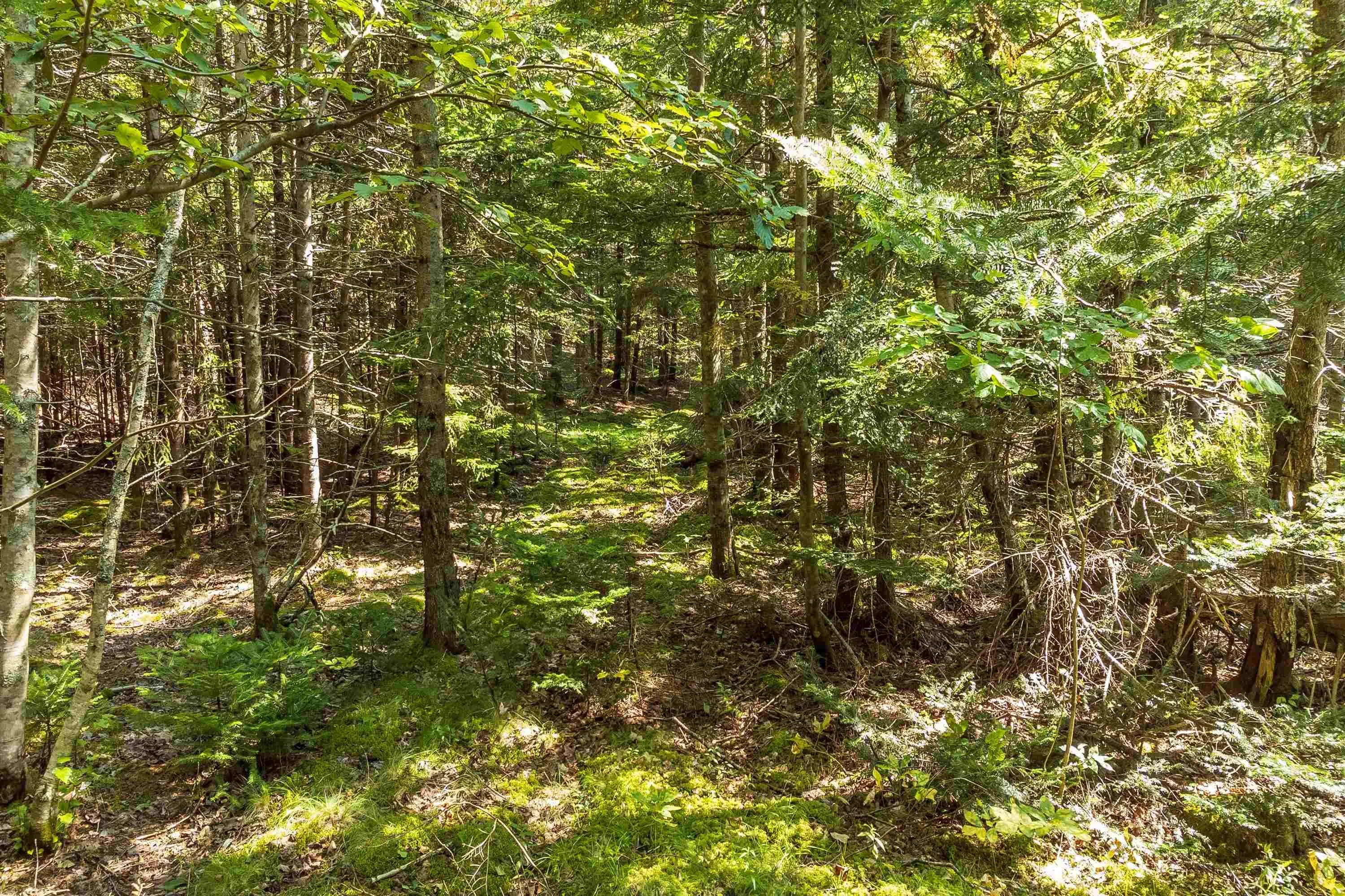 Lots Mcnally Road, Victoria Harbour Ns B0p 1c0, ,Land,For Sale,Mcnally,202404559