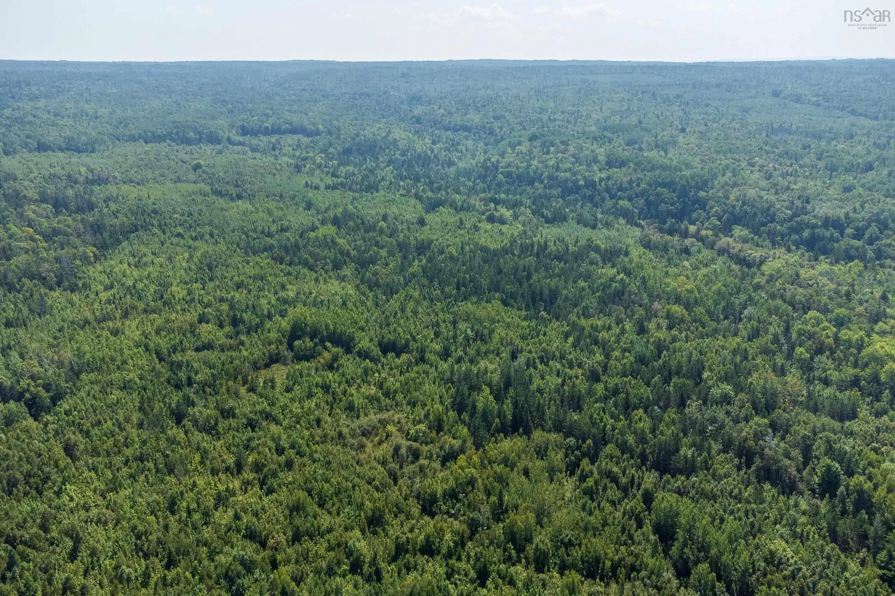 Lots Mcnally Road, Victoria Harbour Ns B0p 1c0, ,Land,For Sale,Mcnally,202404559