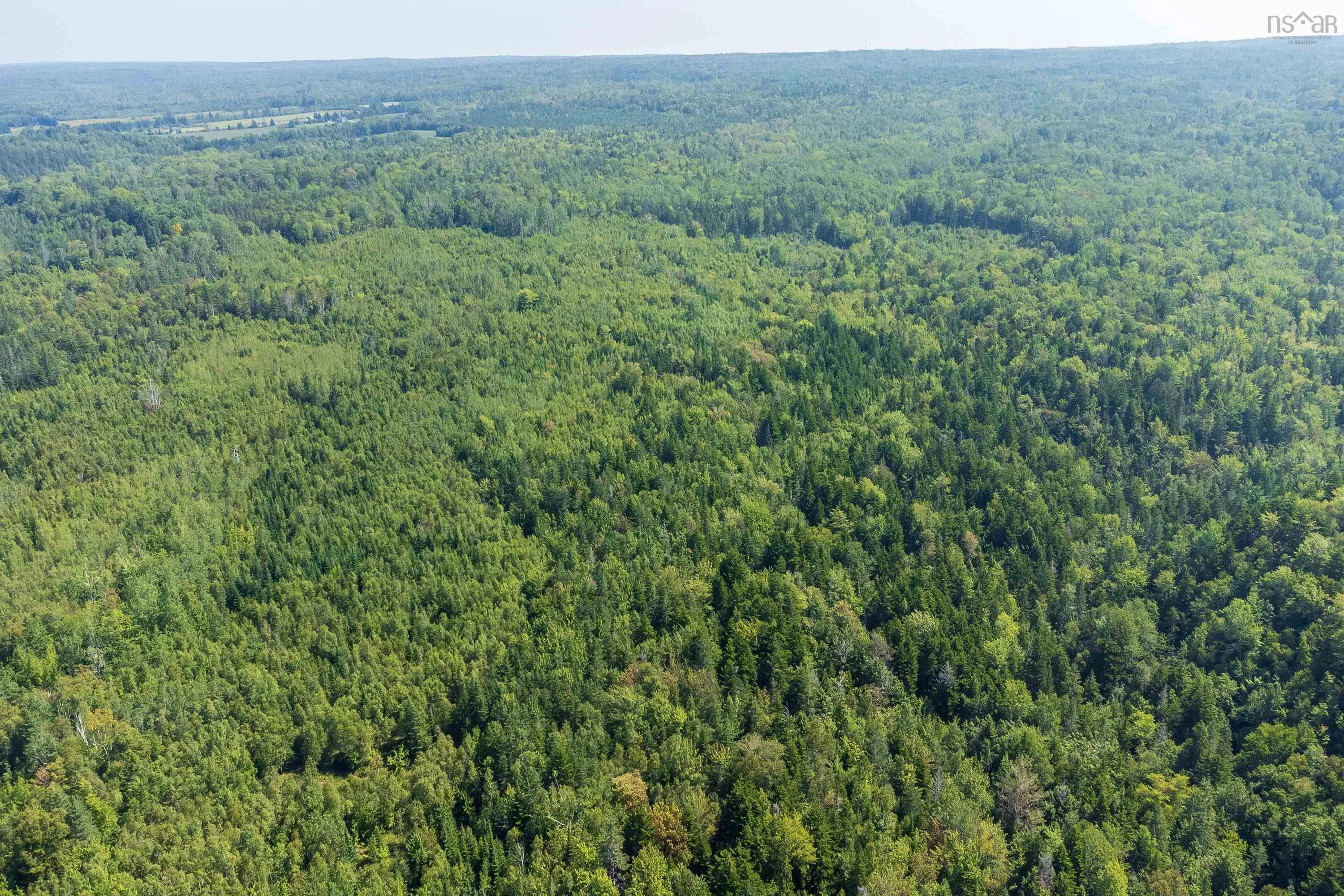 Lots Mcnally Road, Victoria Harbour Ns B0p 1c0, ,Land,For Sale,Mcnally,202404559