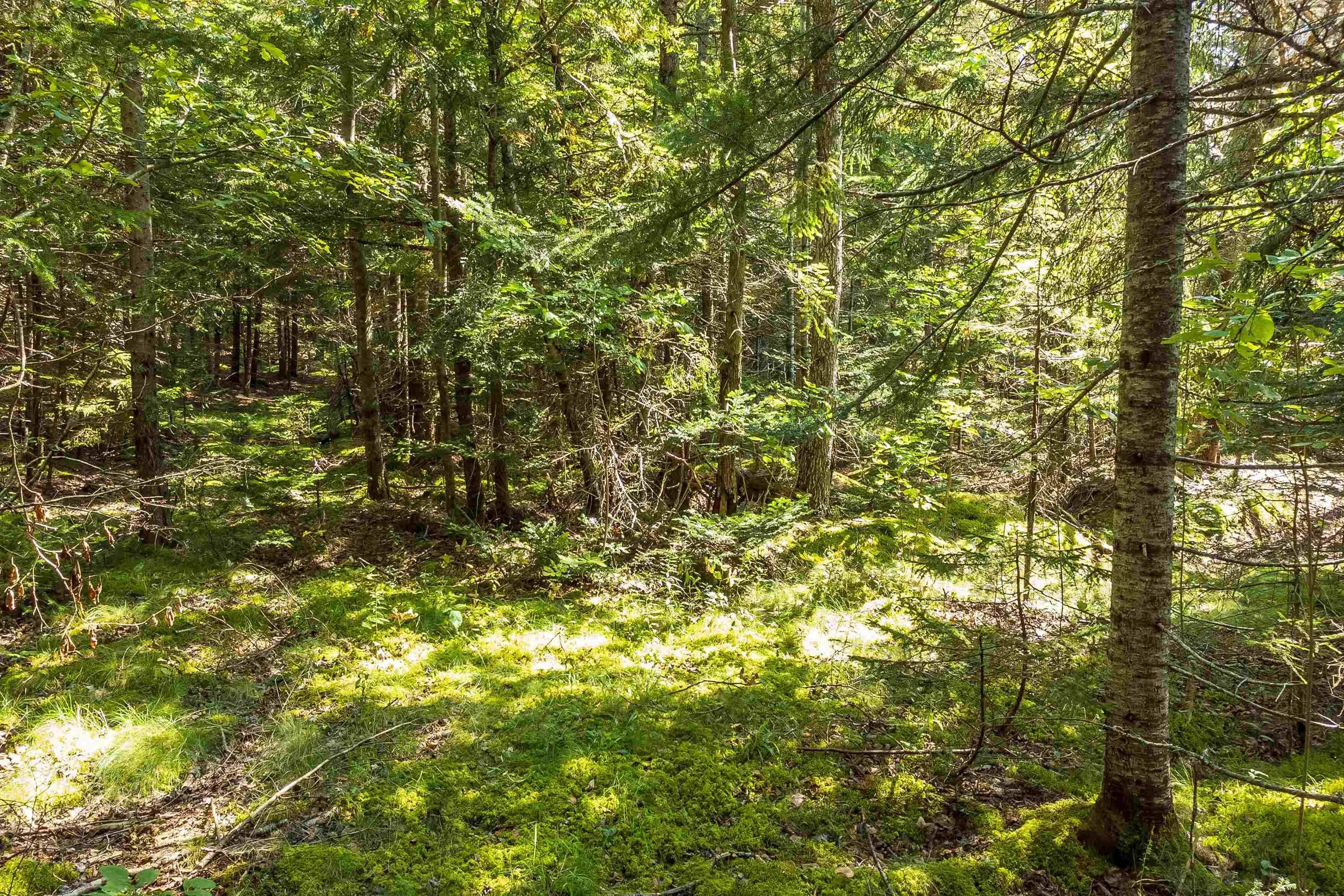 Lots Mcnally Road, Victoria Harbour Ns B0p 1c0, ,Land,For Sale,Mcnally,202404559
