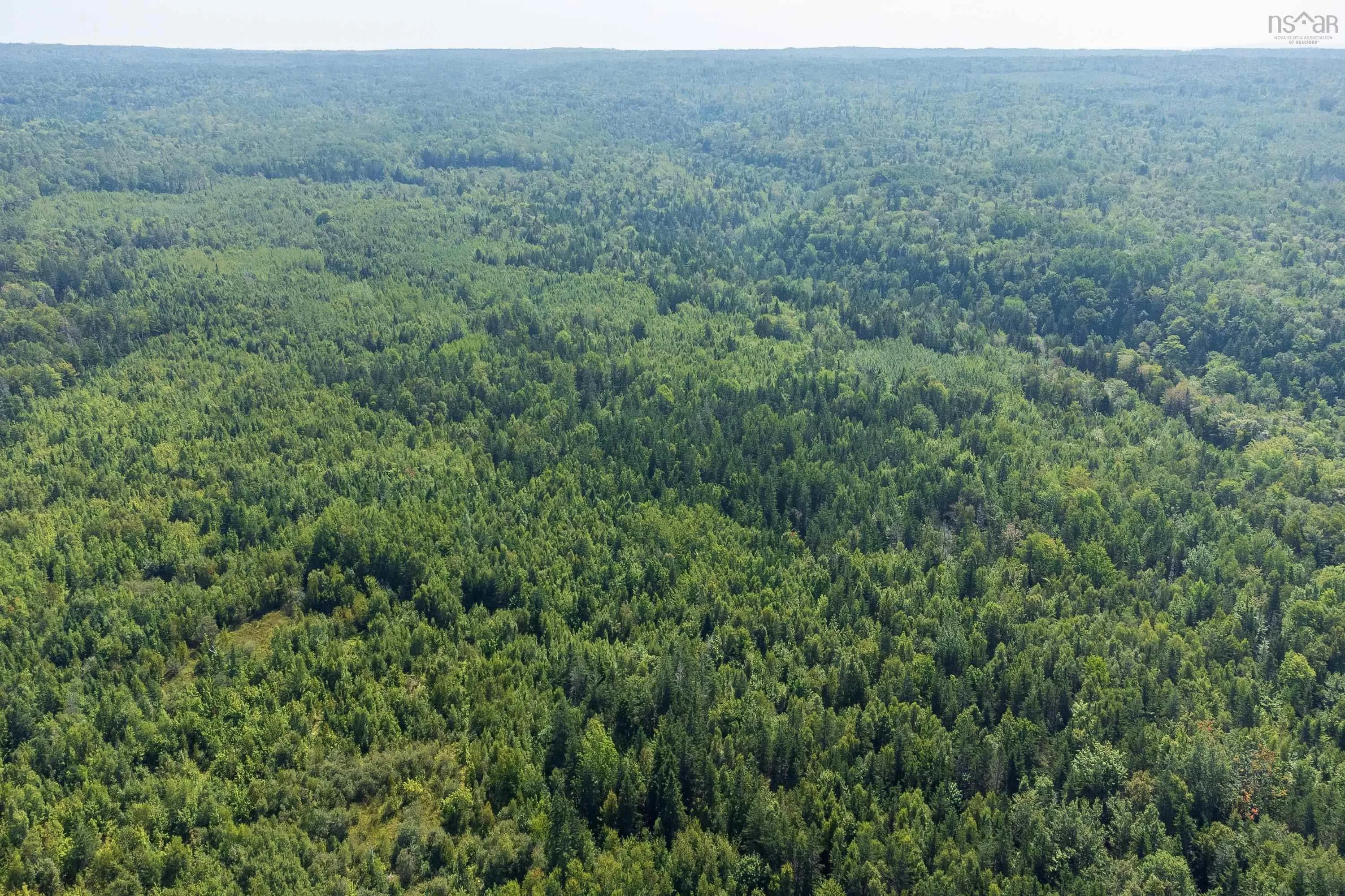 Lots Mcnally Road, Victoria Harbour Ns B0p 1c0, ,Land,For Sale,Mcnally,202404559