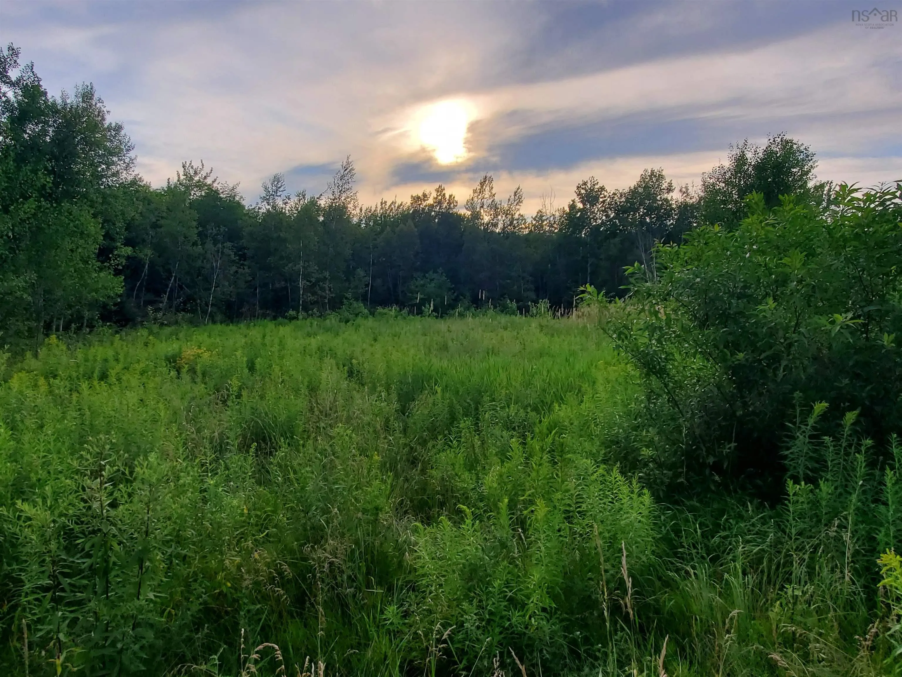 Lot 1-b Foxbrook Road, Foxbrook, NS B0K 2A0, ,Land,For Sale,Foxbrook,202518157