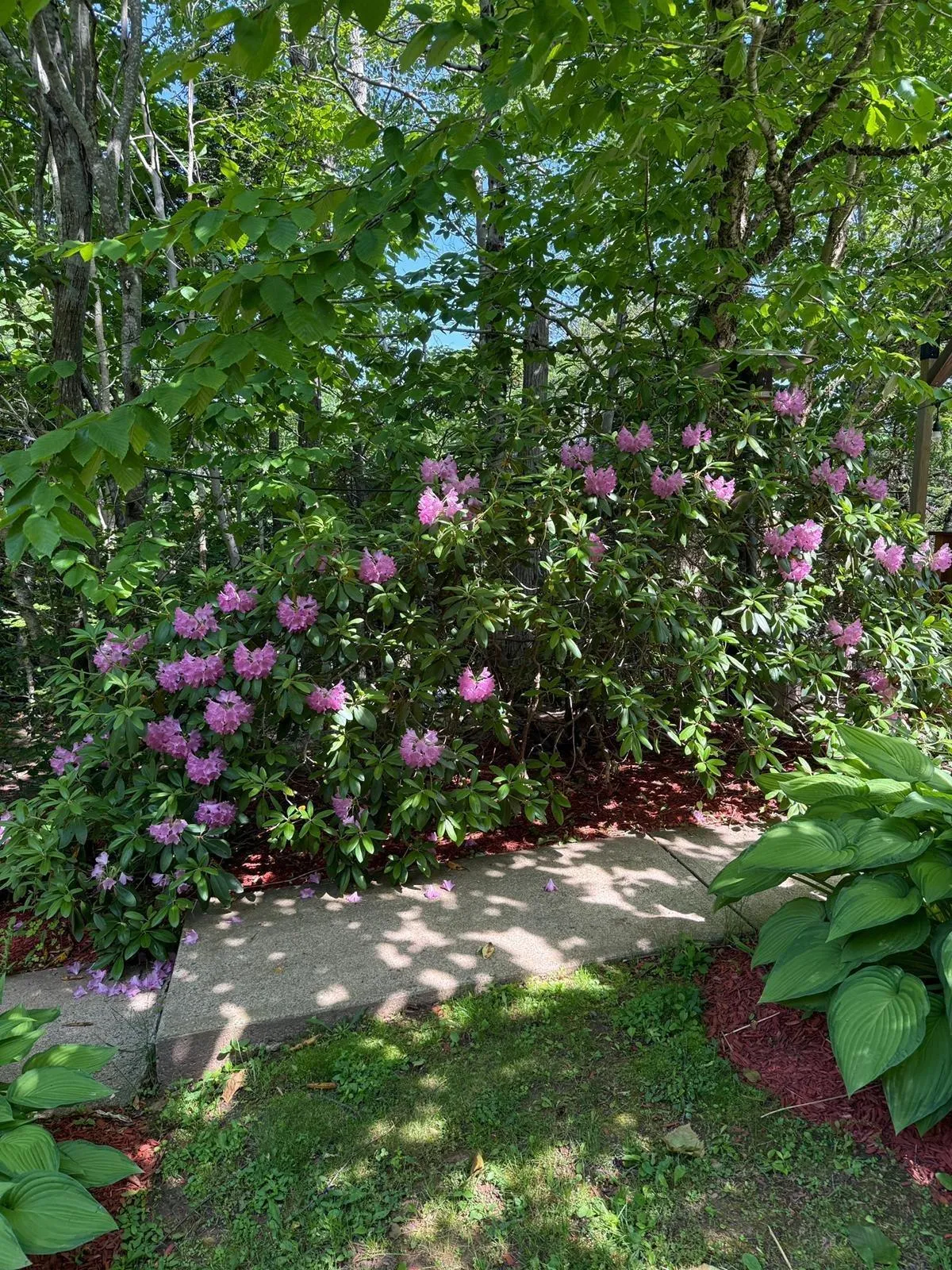 21 Stillwater Lake Drive, Stillwater Lake, NS B3Z 1H7, 4 Bedrooms Bedrooms, ,3 BathroomsBathrooms,Residential,For Sale,21 Stillwater Lake,202519612