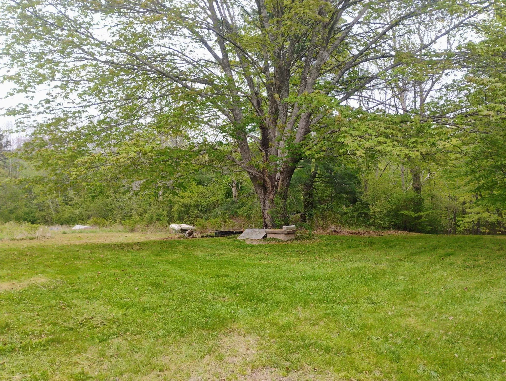 6672 Highway 332, Upper Lahave, NS B4V 7C1, 5 Bedrooms Bedrooms, ,2 BathroomsBathrooms,Residential,For Sale,Highway 332,202518198
