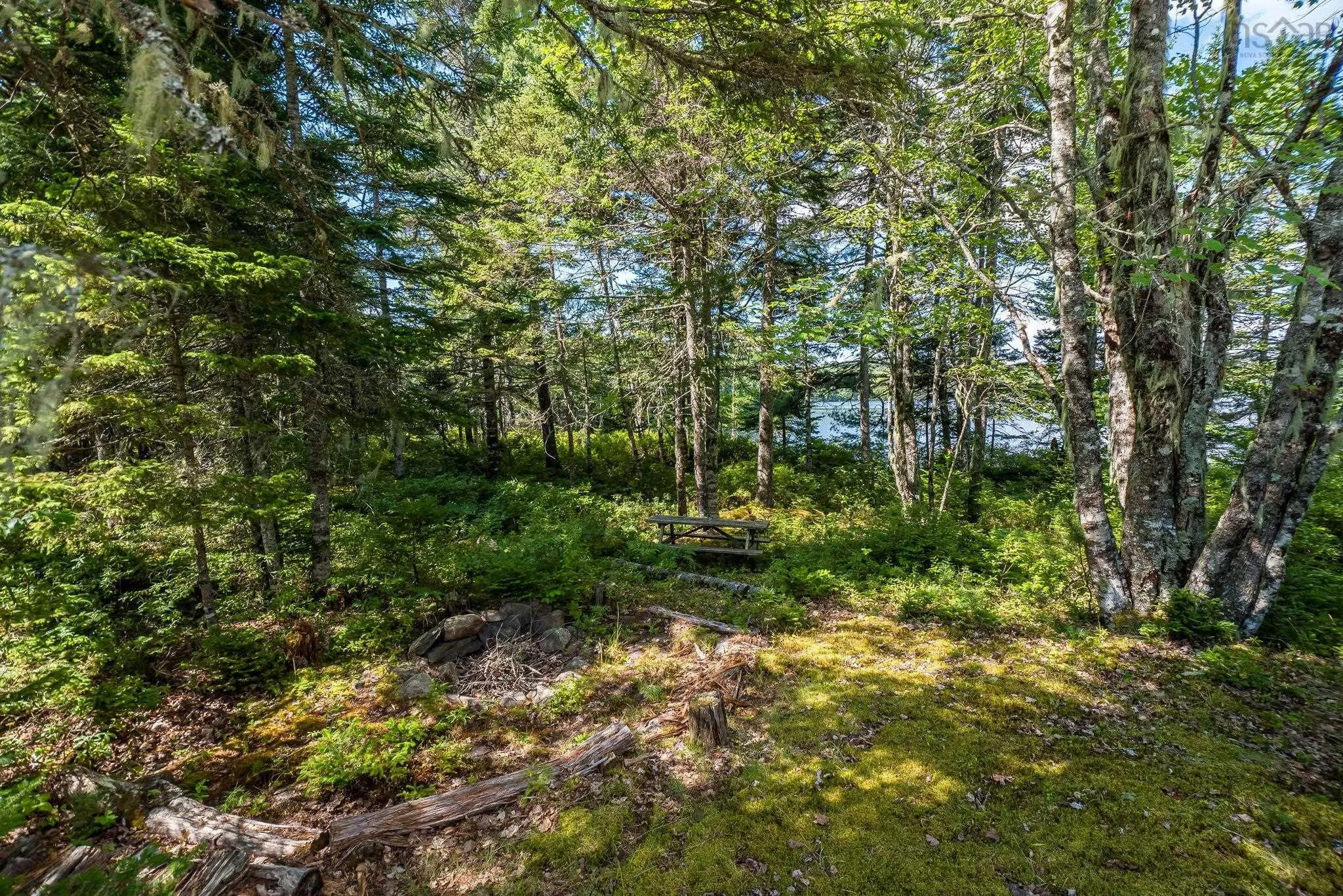 376 Lakefront Drive, Chelsea, NS B4V 7M9, 4 Bedrooms Bedrooms, ,1 BathroomBathrooms,Residential,For Sale,Lakefront,202519621