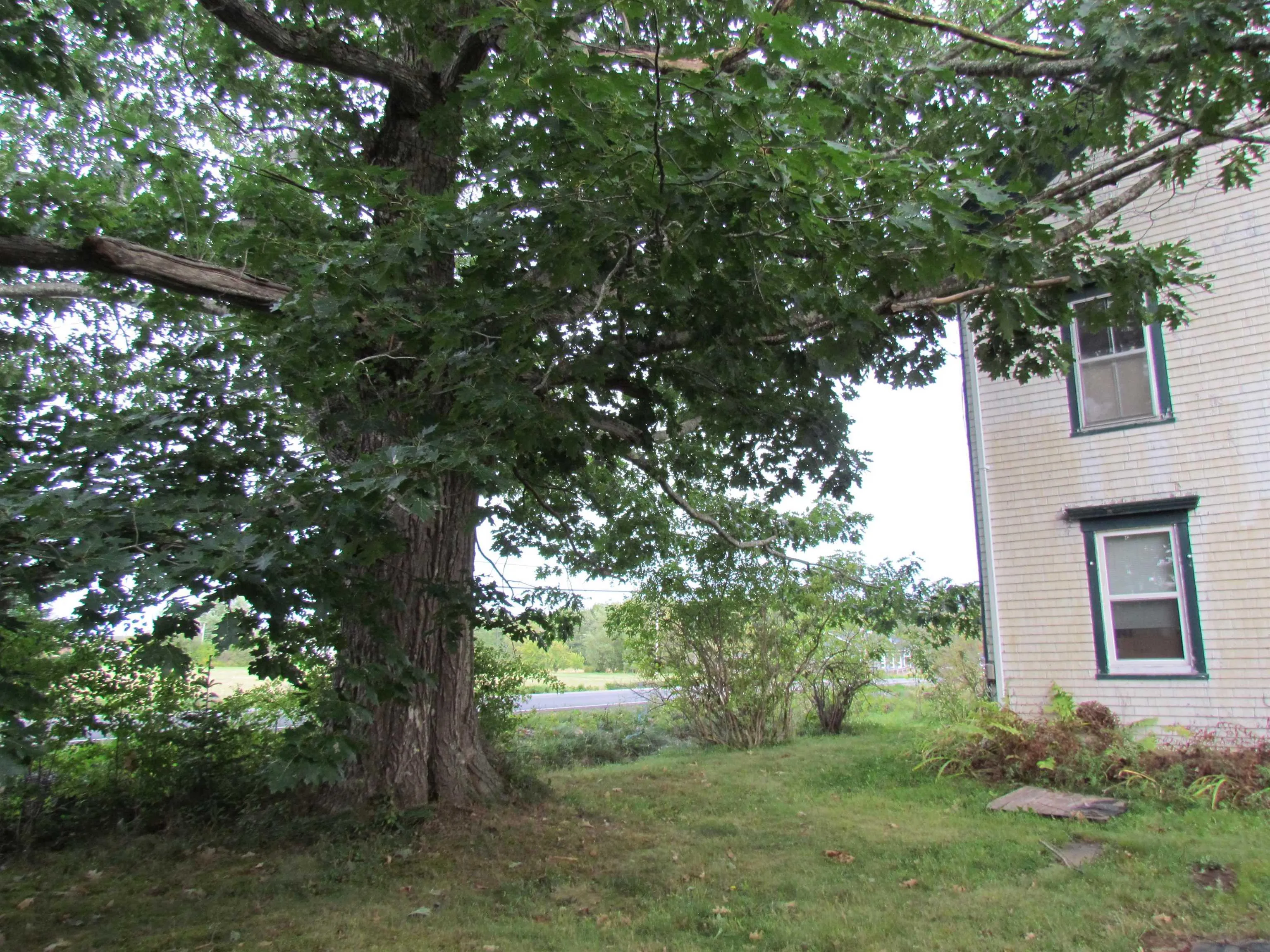8894 Highway 215, Maitland Ns B0n 1t0, 3 Bedrooms Bedrooms, ,2 BathroomsBathrooms,Residential,For Sale,Highway 215,202421588