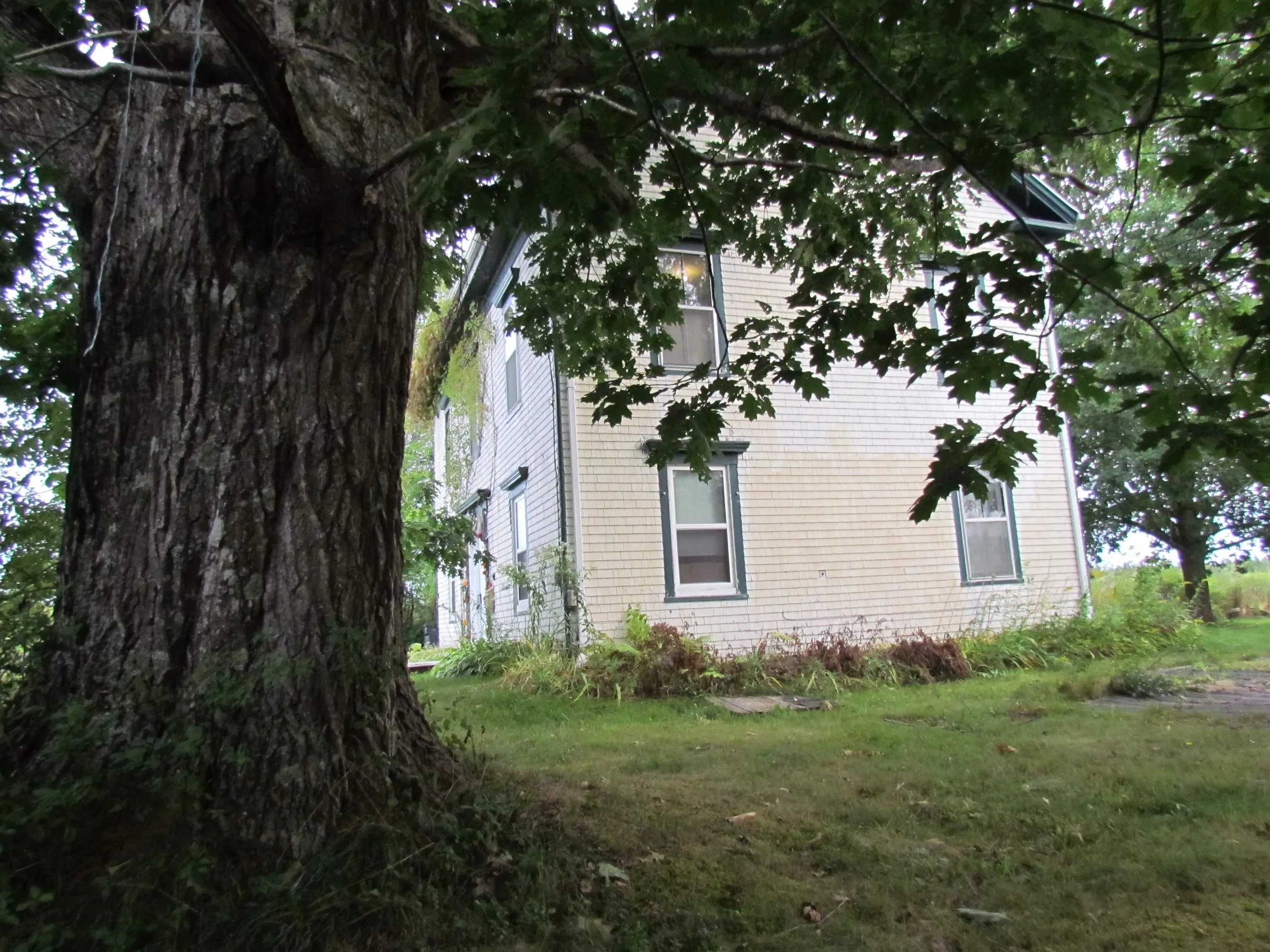 8894 Highway 215, Maitland Ns B0n 1t0, 3 Bedrooms Bedrooms, ,2 BathroomsBathrooms,Residential,For Sale,Highway 215,202421588