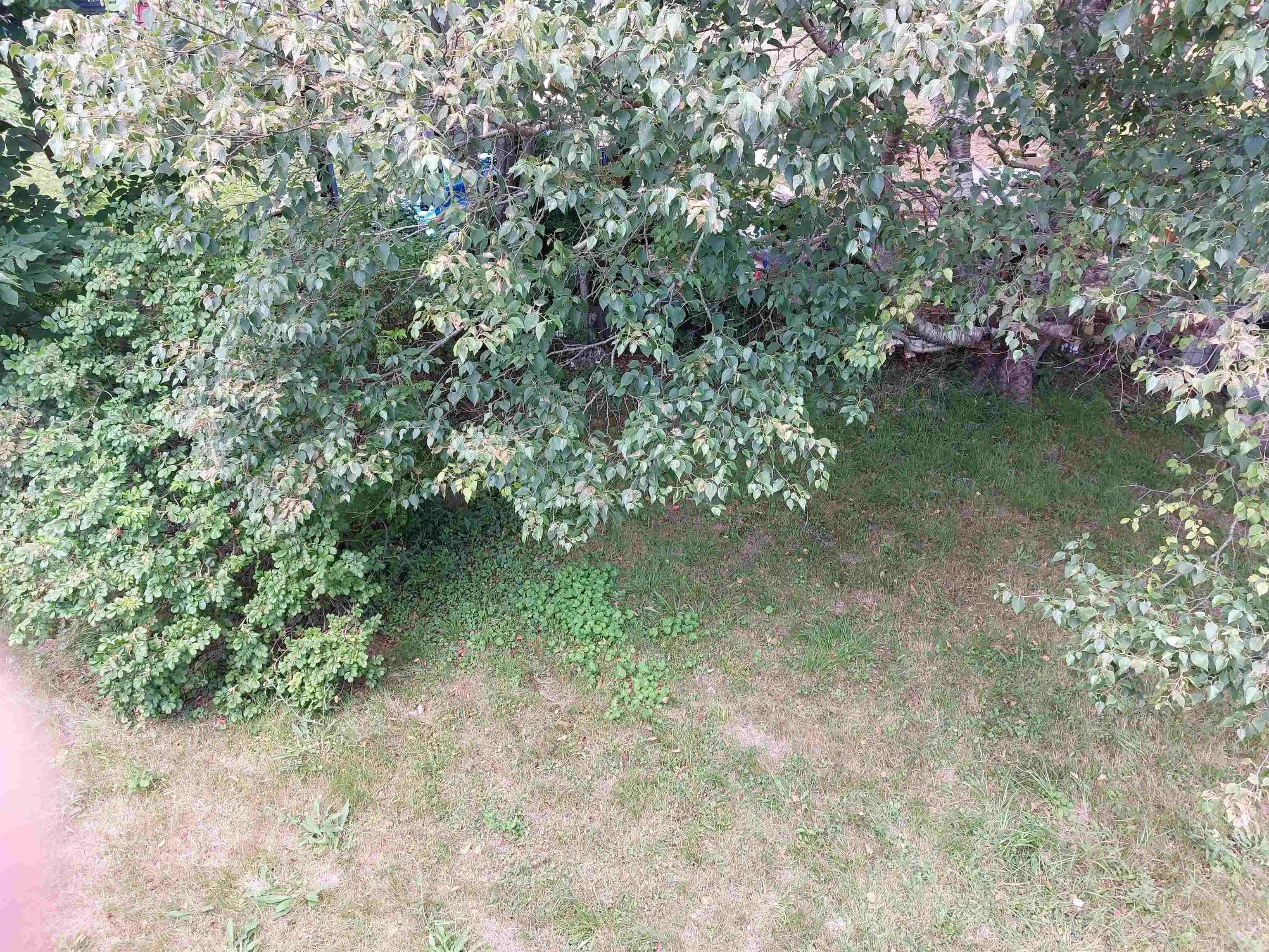 85 Rufus Avenue, Fairview, NS B3N 2L8, 3 Bedrooms Bedrooms, ,1 BathroomBathrooms,Residential,For Sale,Rufus,202519485