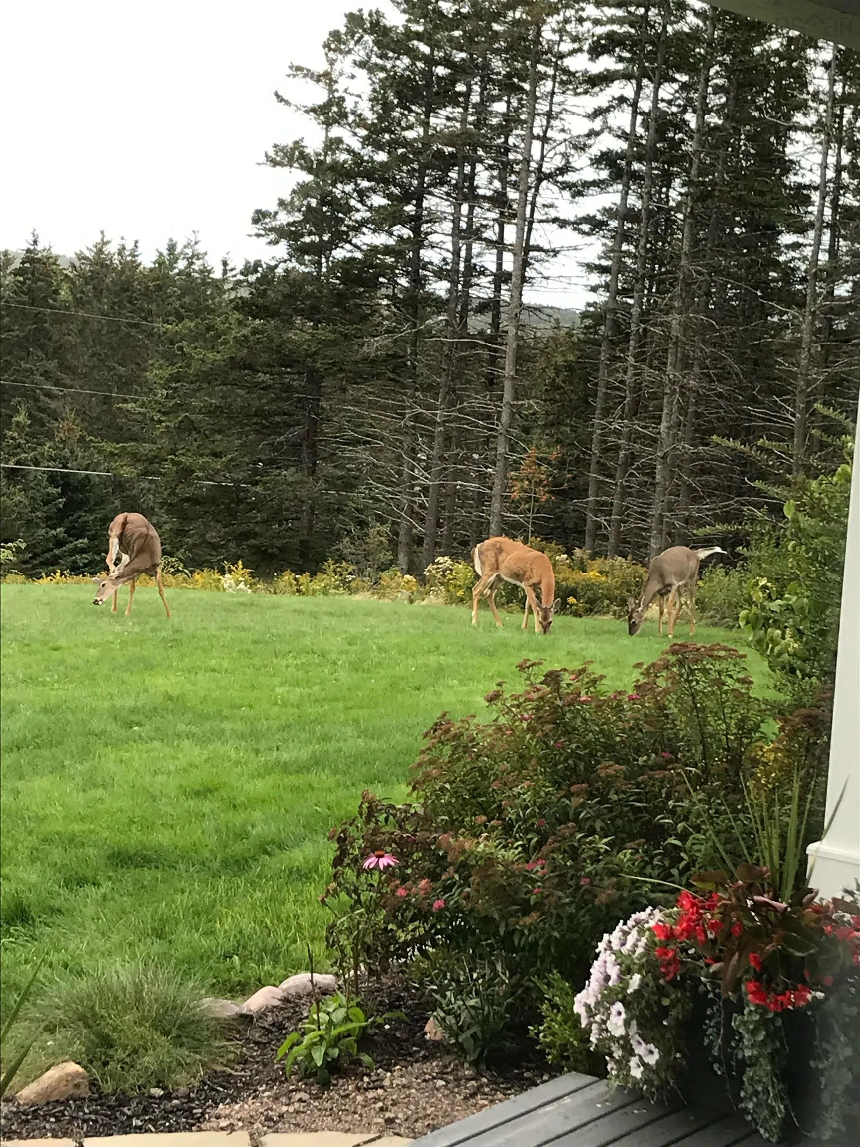 893 Two Islands Road, Parrsboro Ns B0m 1s0, 2 Bedrooms Bedrooms, ,4 BathroomsBathrooms,Residential,For Sale,Two Islands Road,202425049