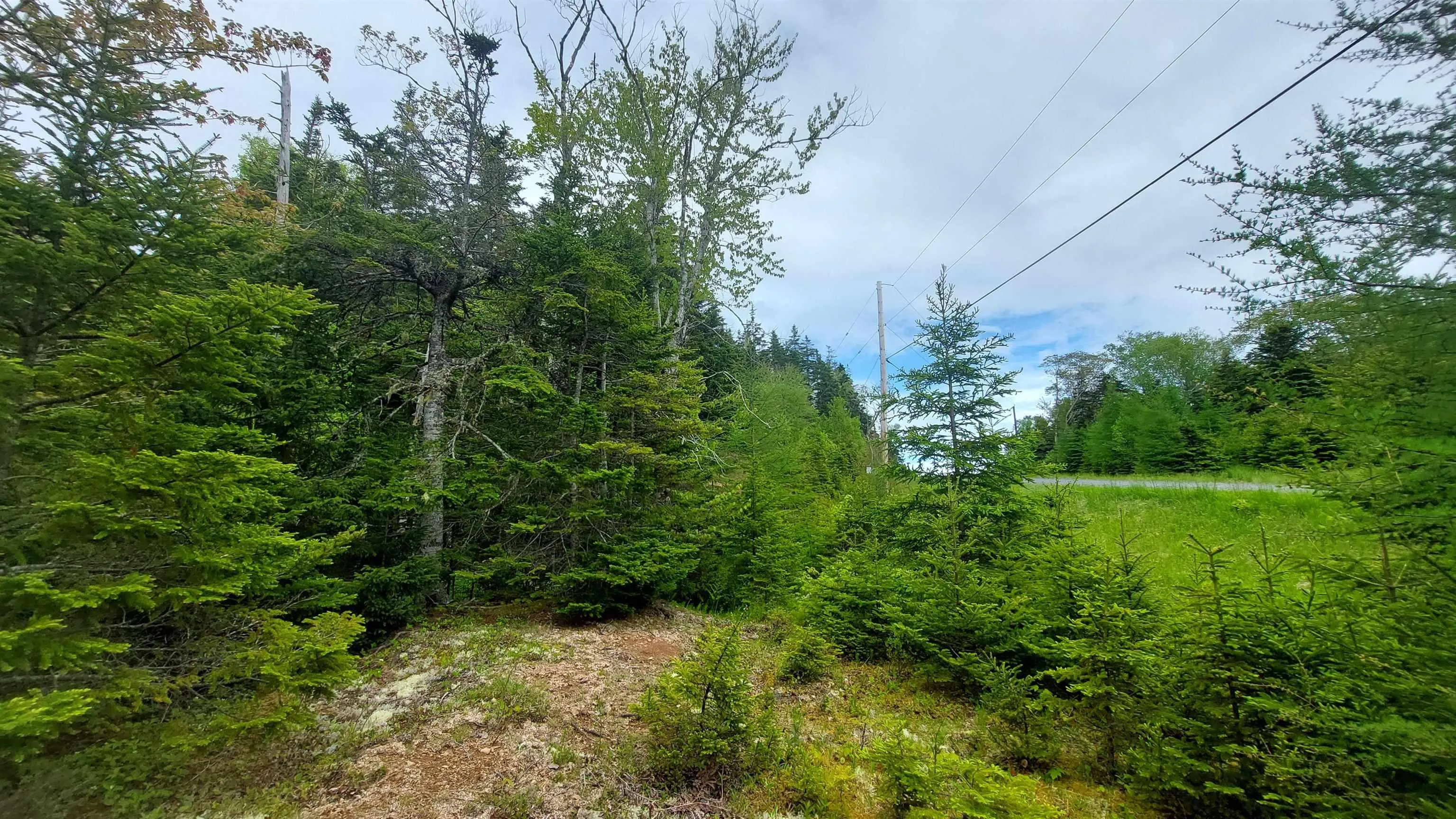 Lot 1a-79 Maple Dr, Cape George Estates Ns B0e 3b0, ,Land,For Sale,Maple Dr,202507284