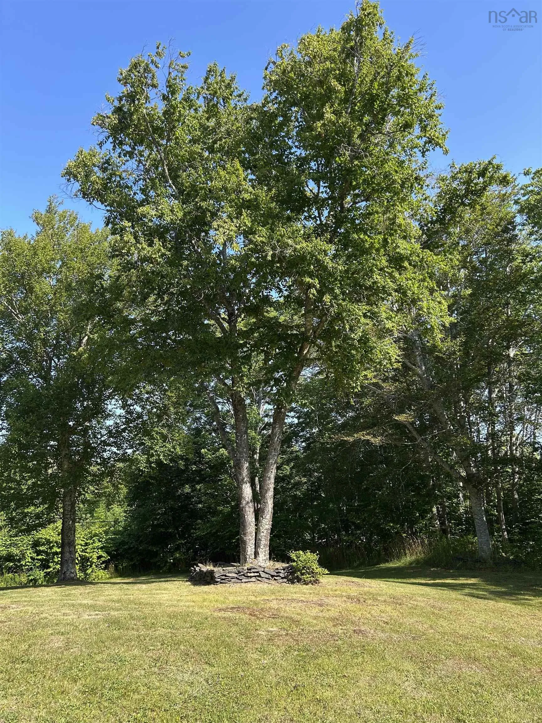 6935 Grand Narrows Highway, Shenacadie, NS B1T 1M5, 3 Bedrooms Bedrooms, ,2 BathroomsBathrooms,Residential,For Sale,Grand Narrows,202519270