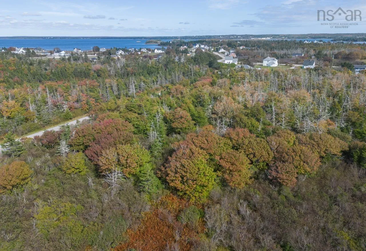 Pond Road, Lower West Pubnico Ns B0w 2c0, ,Land,For Sale,Pond,202312070