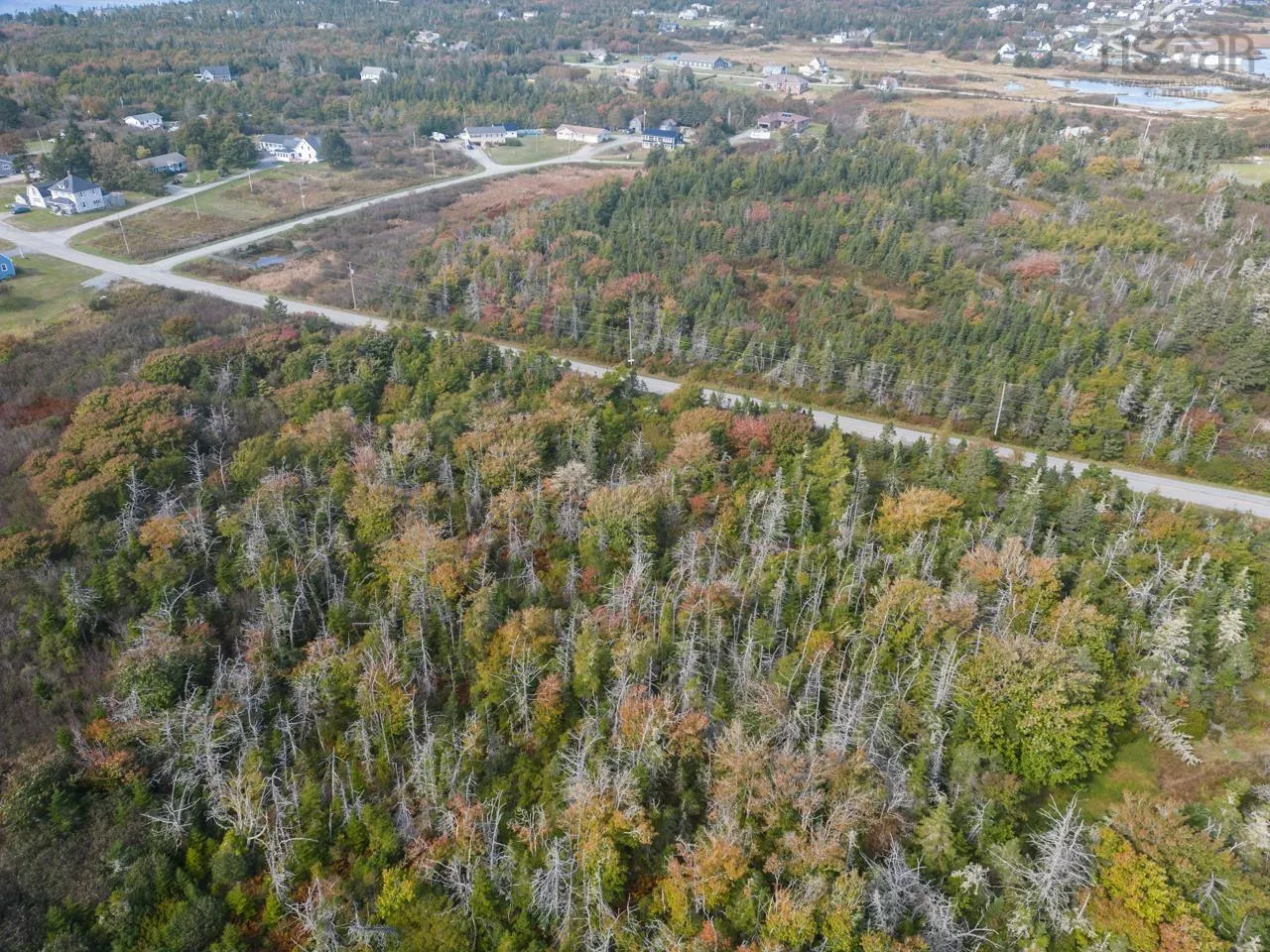 Pond Road, Lower West Pubnico Ns B0w 2c0, ,Land,For Sale,Pond,202312070