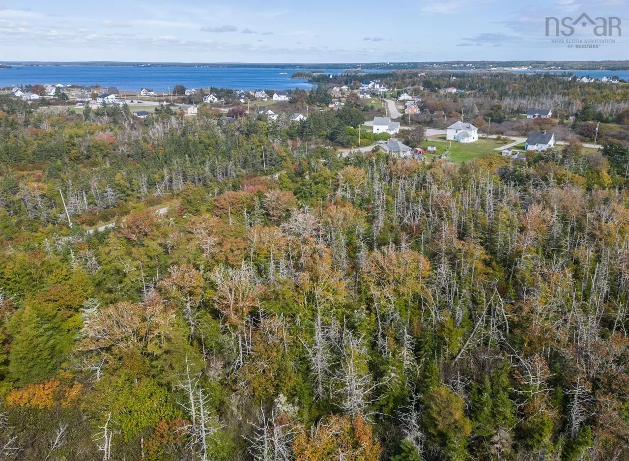 Pond Road, Lower West Pubnico Ns B0w 2c0, ,Land,For Sale,Pond,202312070