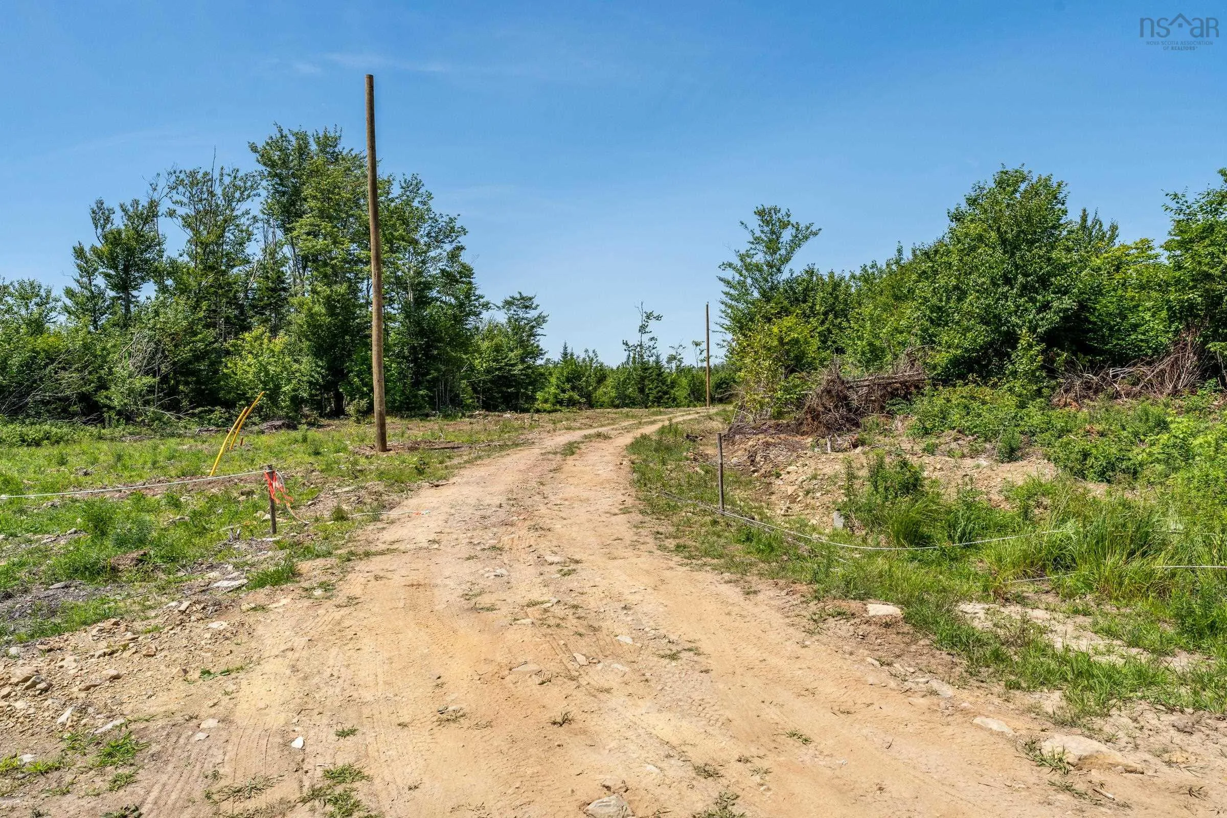176 Henriette Bridge Road, Concession, NS B0W 1M0, ,Land,For Sale,Henriette Bridge Road,202522124