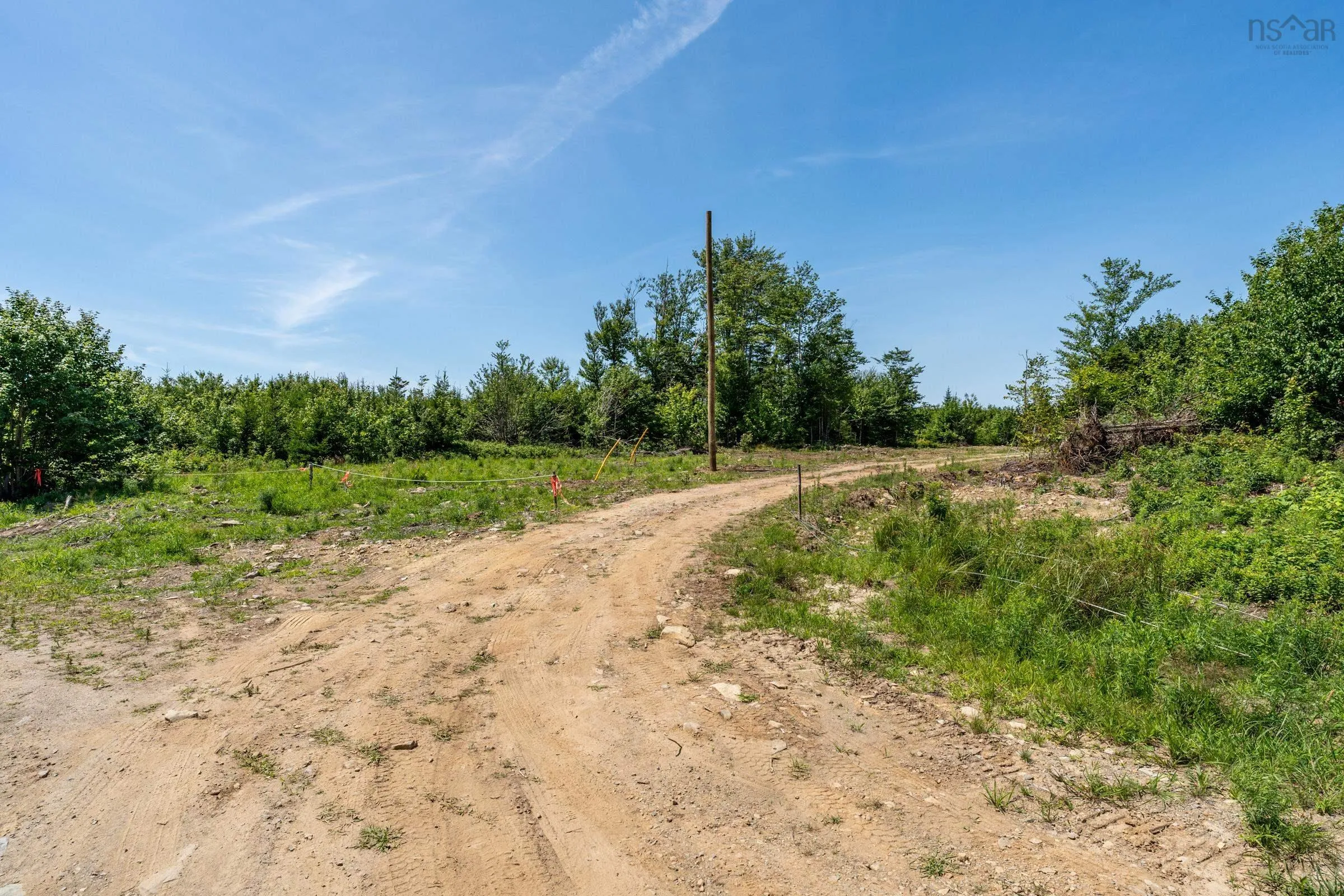 176 Henriette Bridge Road, Concession, NS B0W 1M0, ,Land,For Sale,Henriette Bridge Road,202522124