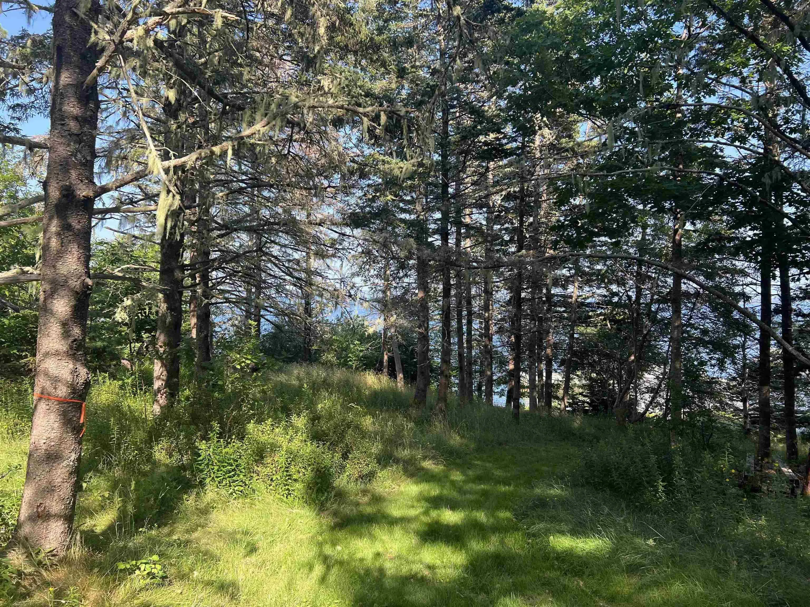 3 Chester Shore Road, Chester, NS B0J 1J0, ,Land,For Sale,Chester Shore,202519545