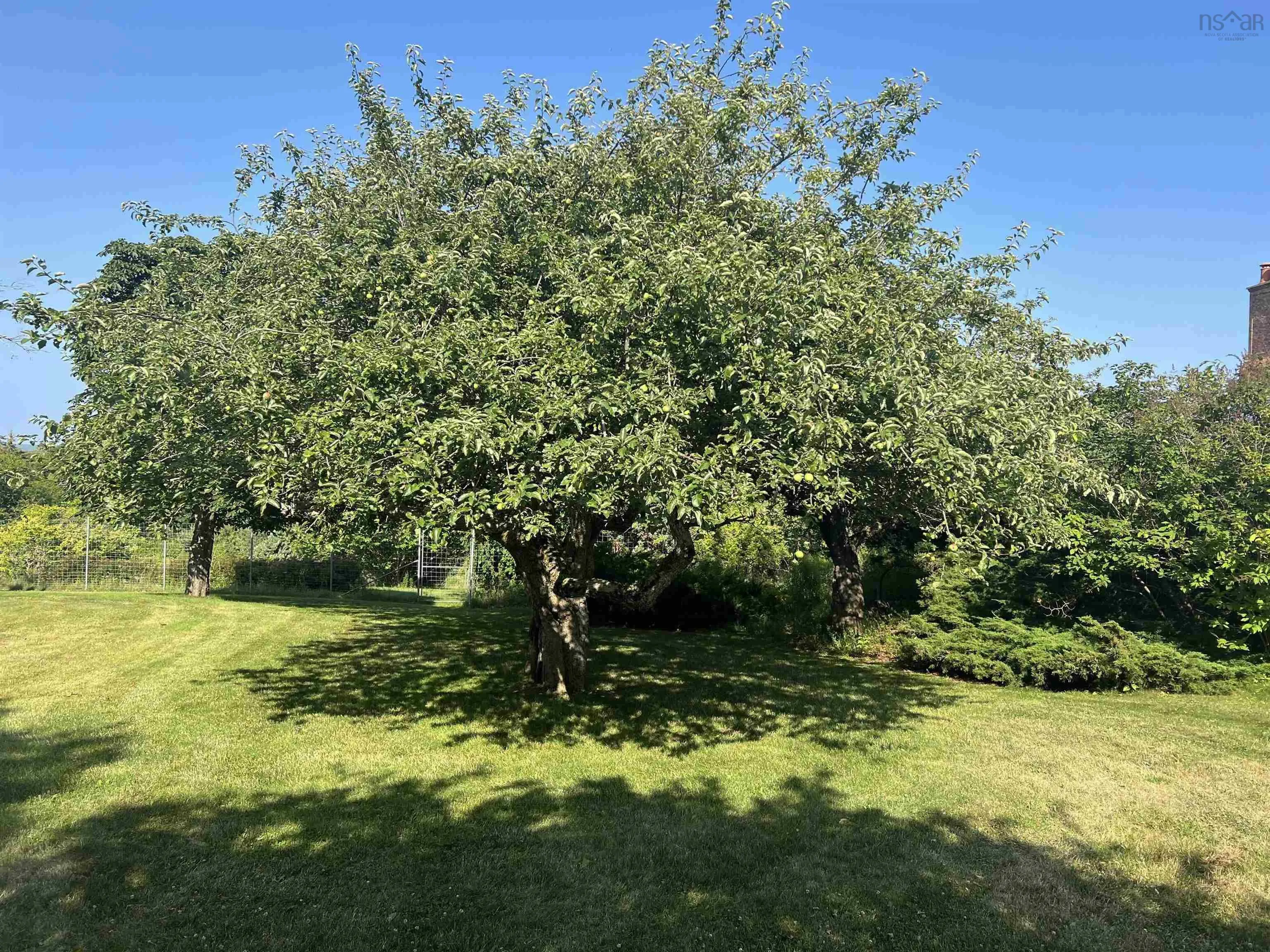3 Chester Shore Road, Chester, NS B0J 1J0, ,Land,For Sale,Chester Shore,202519545