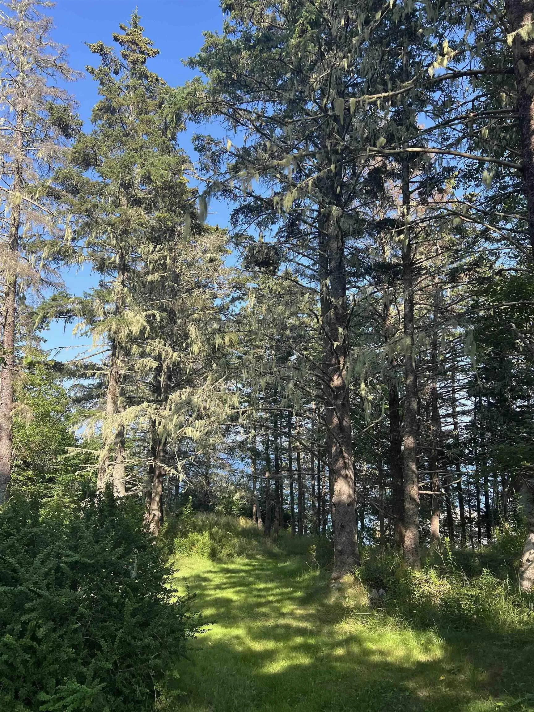 3 Chester Shore Road, Chester, NS B0J 1J0, ,Land,For Sale,Chester Shore,202519545