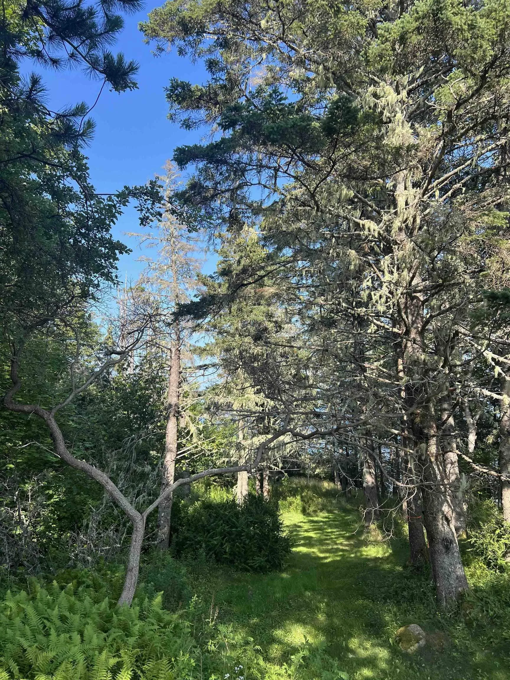 3 Chester Shore Road, Chester, NS B0J 1J0, ,Land,For Sale,Chester Shore,202519545