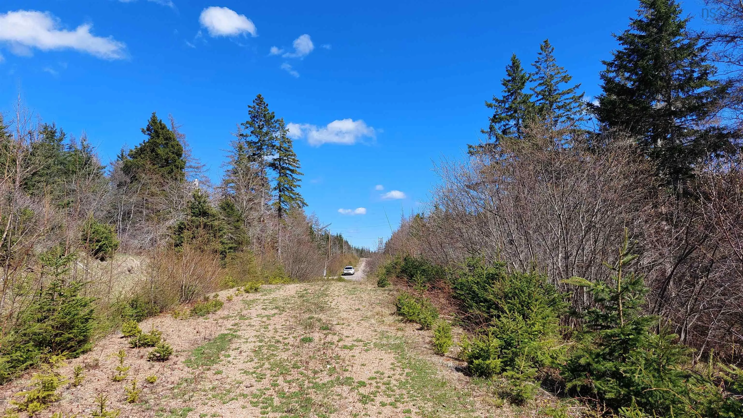 Lot 21a Jonathan R Bouman Ln, Evanston Ns B0e 1j0, ,Land,For Sale,Jonathan R Bouman Ln,202505806
