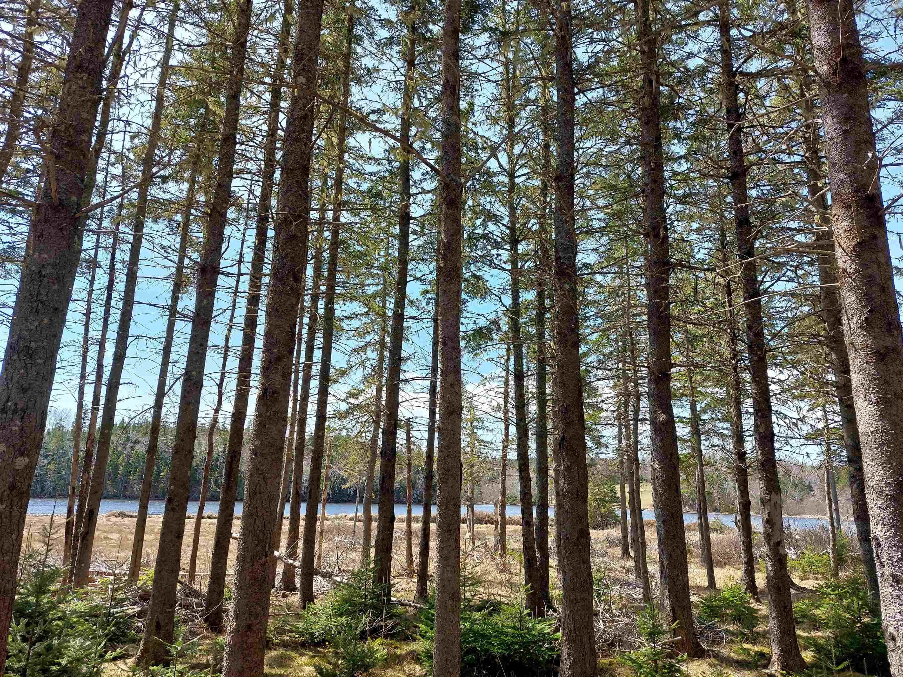 Lot 21a Jonathan R Bouman Ln, Evanston Ns B0e 1j0, ,Land,For Sale,Jonathan R Bouman Ln,202505806