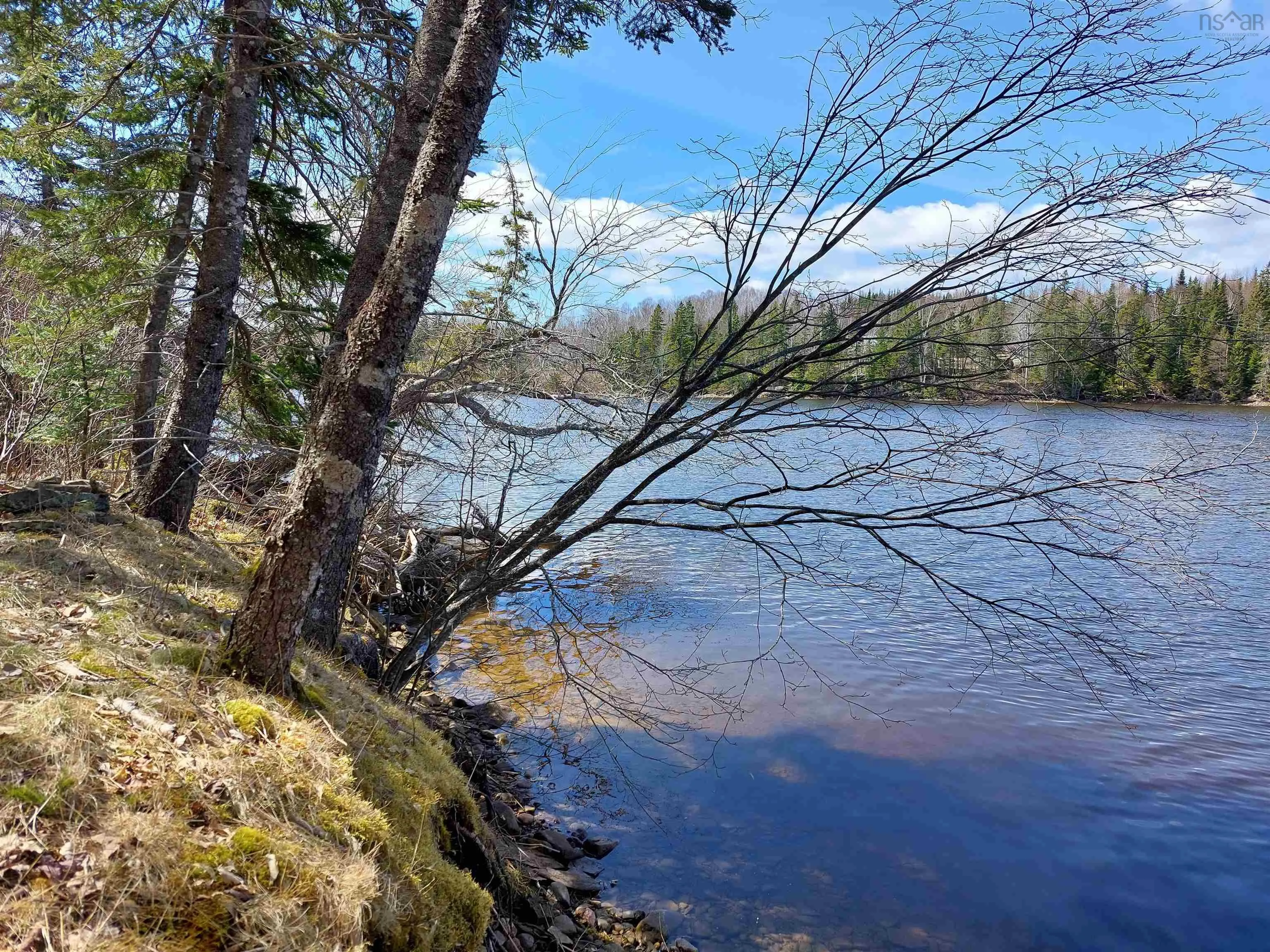 Lot 21a Jonathan R Bouman Ln, Evanston Ns B0e 1j0, ,Land,For Sale,Jonathan R Bouman Ln,202505806