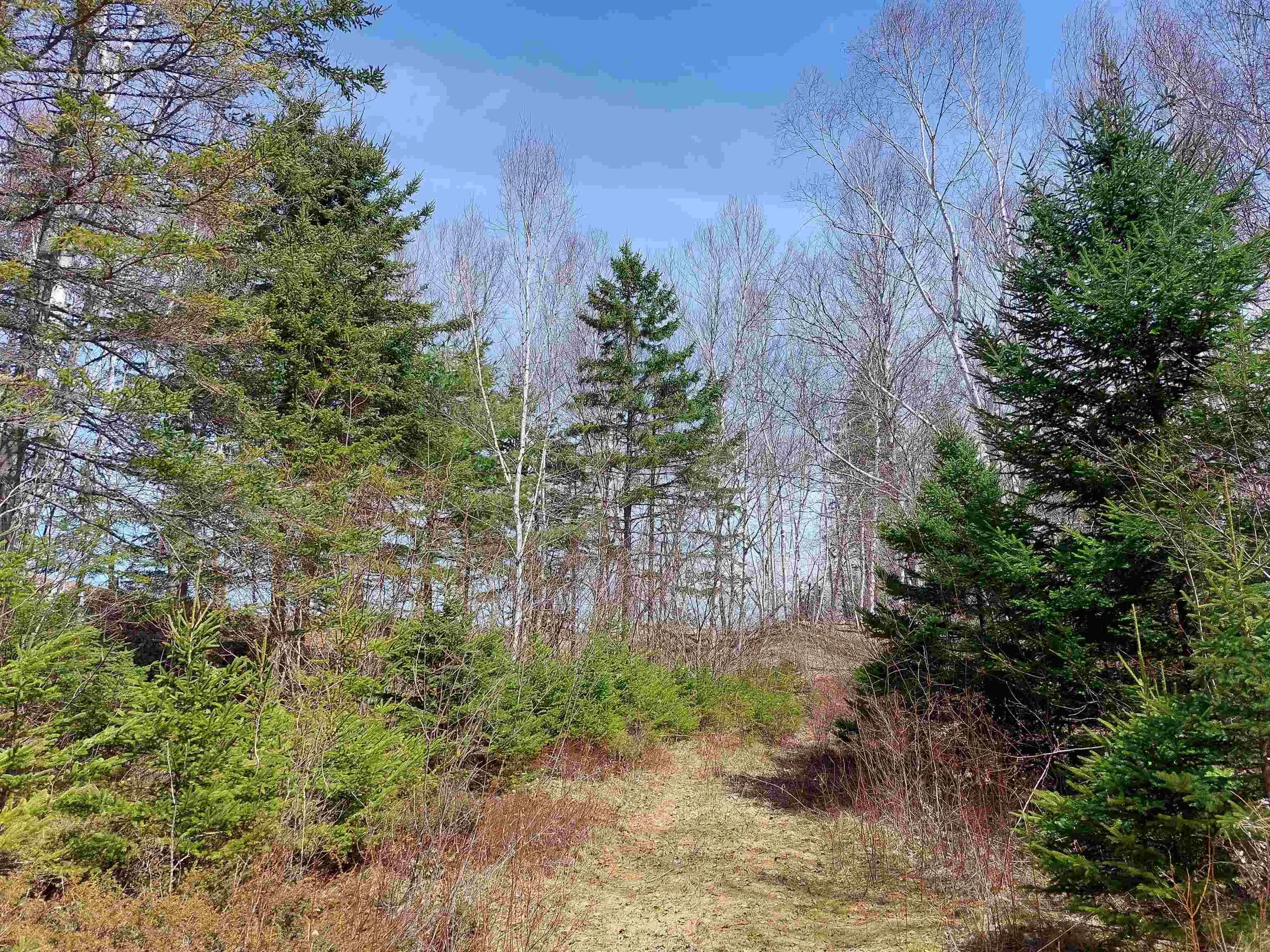 Lot 21a Jonathan R Bouman Ln, Evanston Ns B0e 1j0, ,Land,For Sale,Jonathan R Bouman Ln,202505806