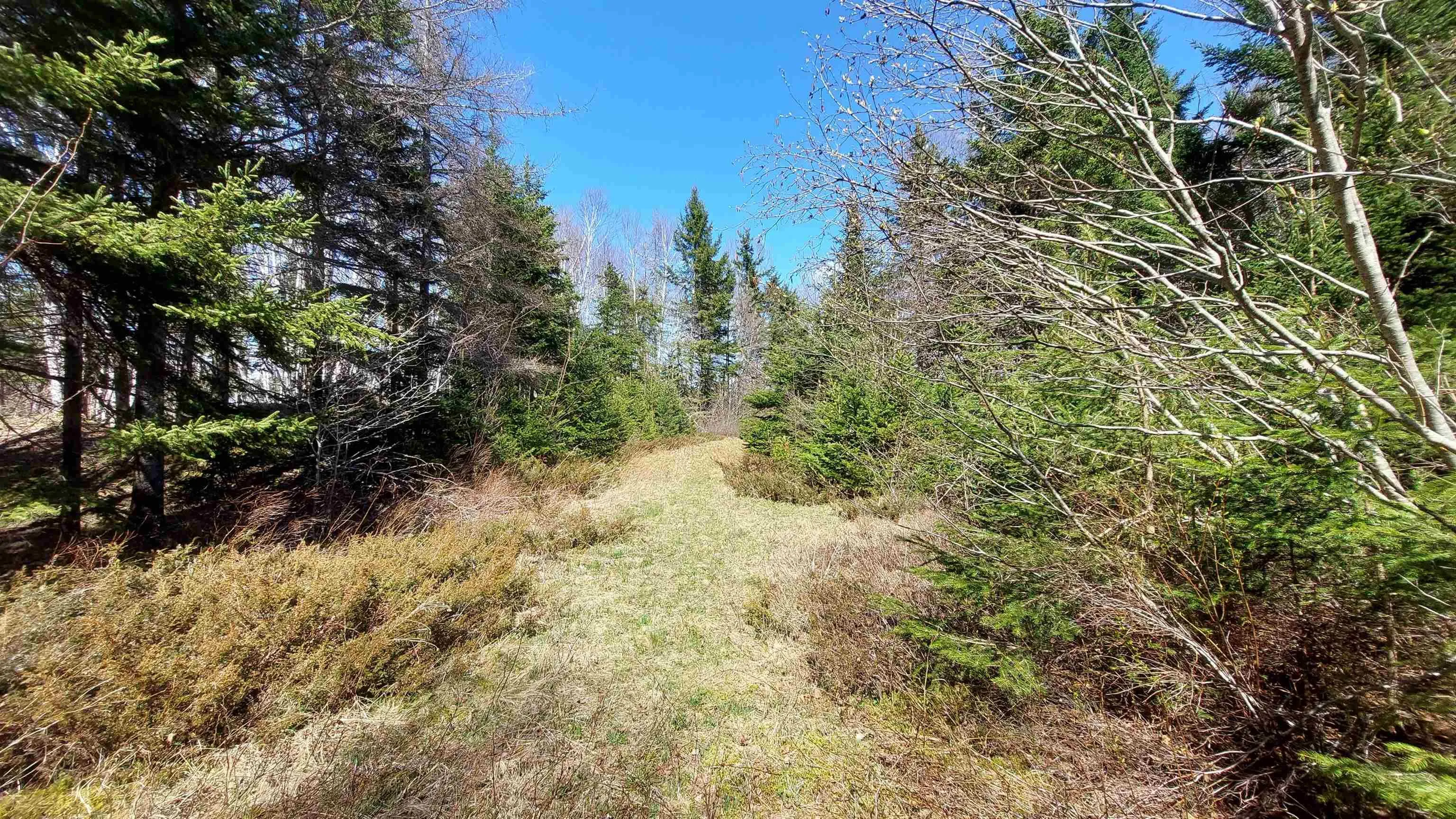 Lot 21a Jonathan R Bouman Ln, Evanston Ns B0e 1j0, ,Land,For Sale,Jonathan R Bouman Ln,202505806