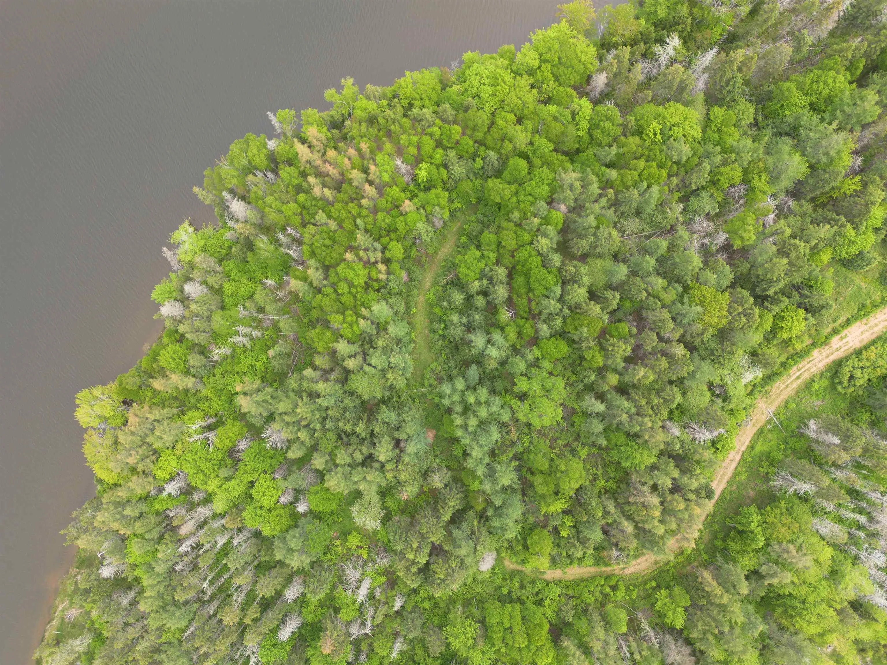 Lot 21a Jonathan R Bouman Ln, Evanston Ns B0e 1j0, ,Land,For Sale,Jonathan R Bouman Ln,202505806