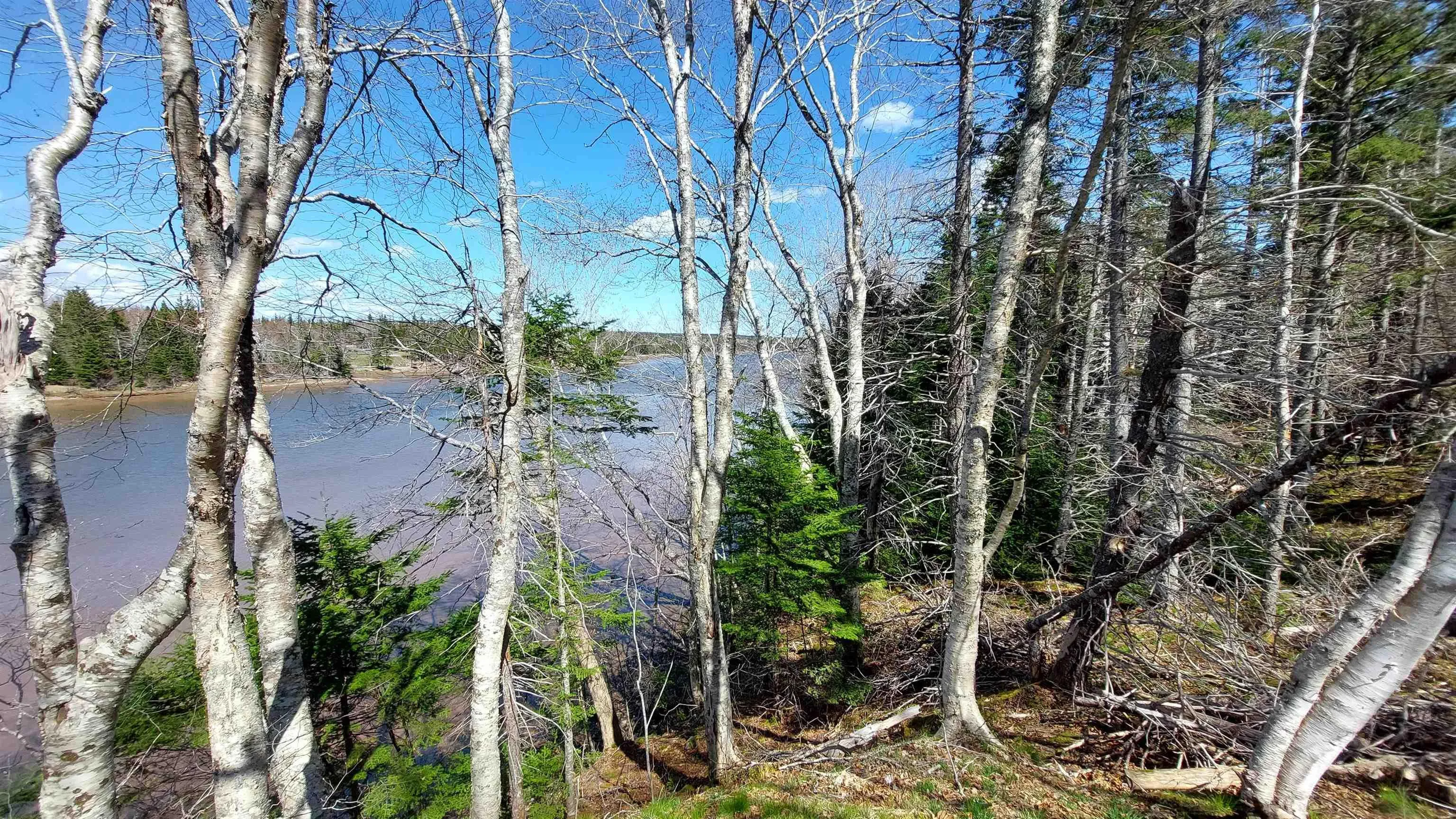 Lot 21a Jonathan R Bouman Ln, Evanston Ns B0e 1j0, ,Land,For Sale,Jonathan R Bouman Ln,202505806