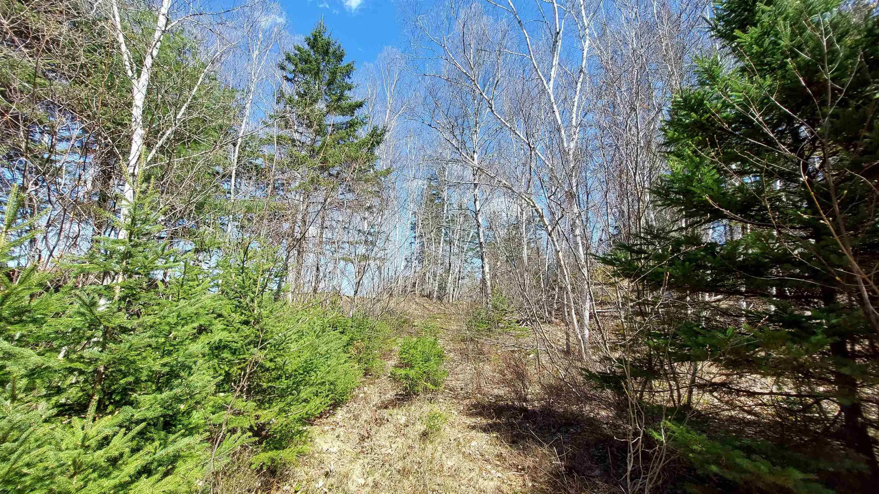 Lot 21a Jonathan R Bouman Ln, Evanston Ns B0e 1j0, ,Land,For Sale,Jonathan R Bouman Ln,202505806