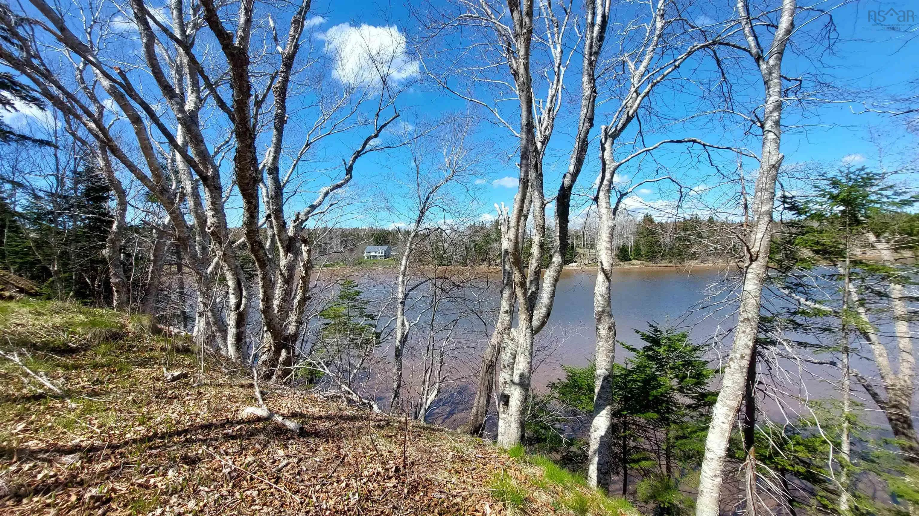 Lot 21a Jonathan R Bouman Ln, Evanston Ns B0e 1j0, ,Land,For Sale,Jonathan R Bouman Ln,202505806