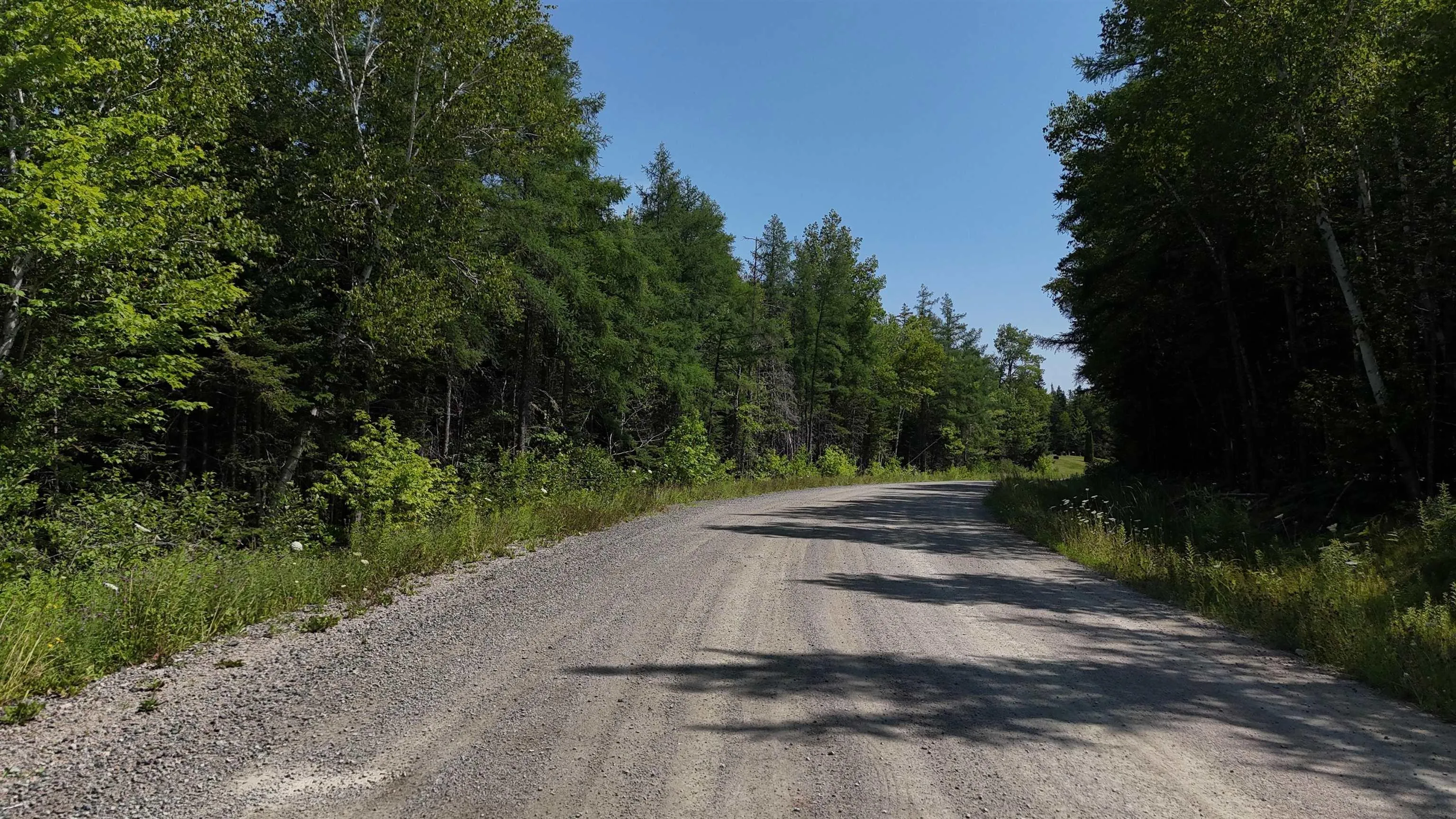South S River Deny's, Valley Mills, NS B0E 2Y0, ,Land,For Sale,South S River Deny's,202518743