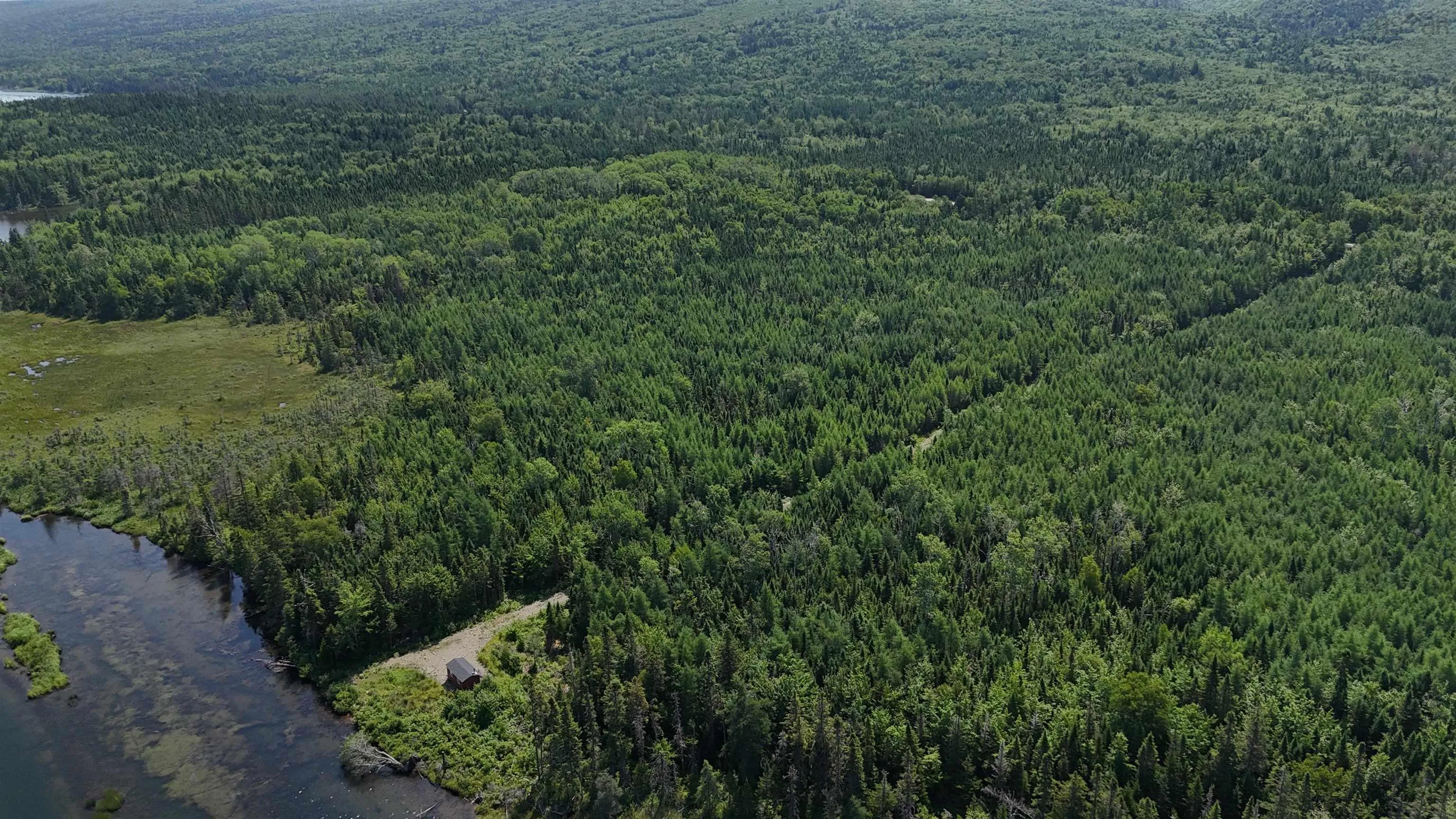 South S River Deny's, Valley Mills, NS B0E 2Y0, ,Land,For Sale,South S River Deny's,202518743