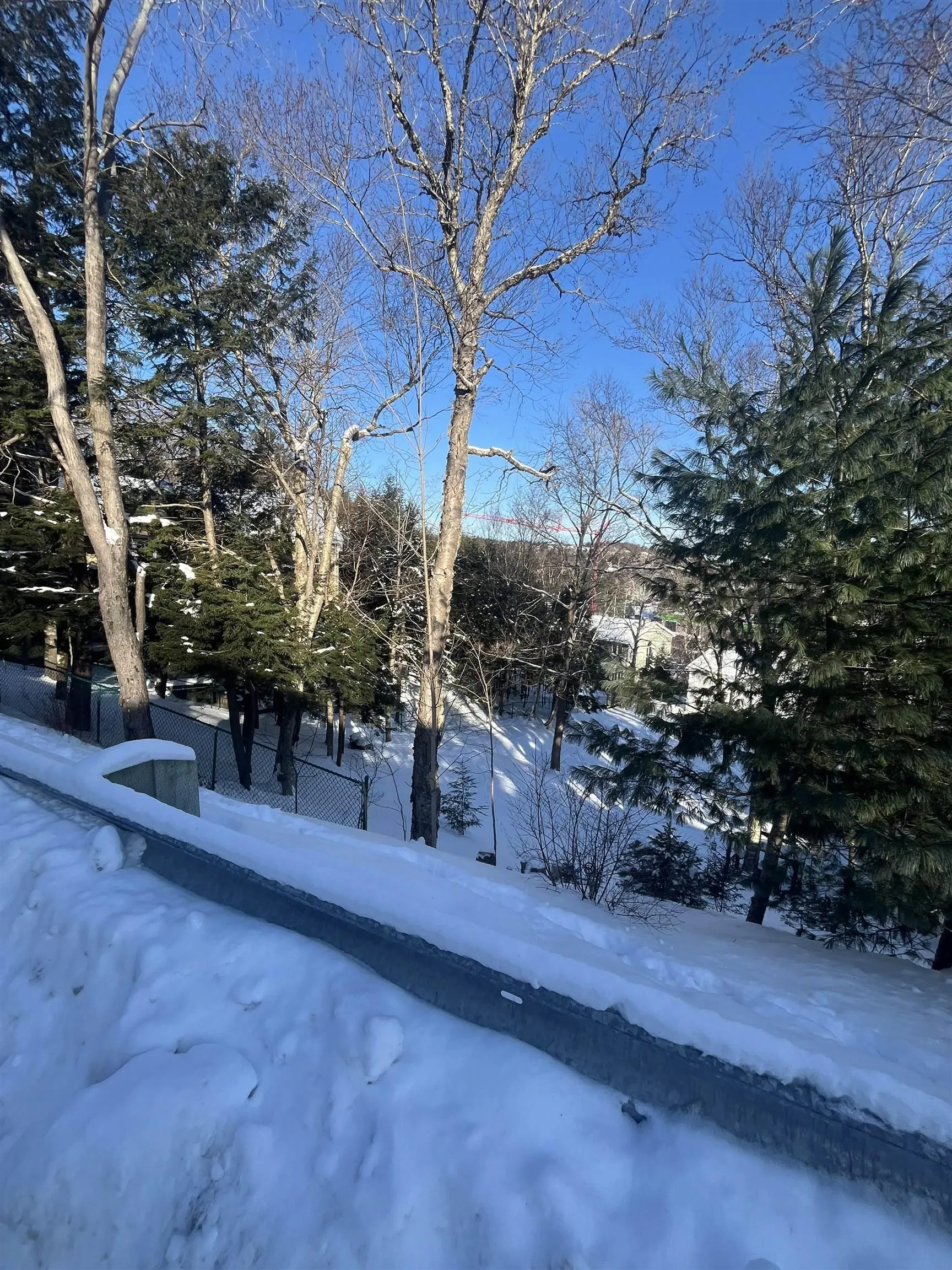 5 Dickson Avenue, Rockingham Ns B3m 2w4, ,Land,For Sale,Dickson,202502747