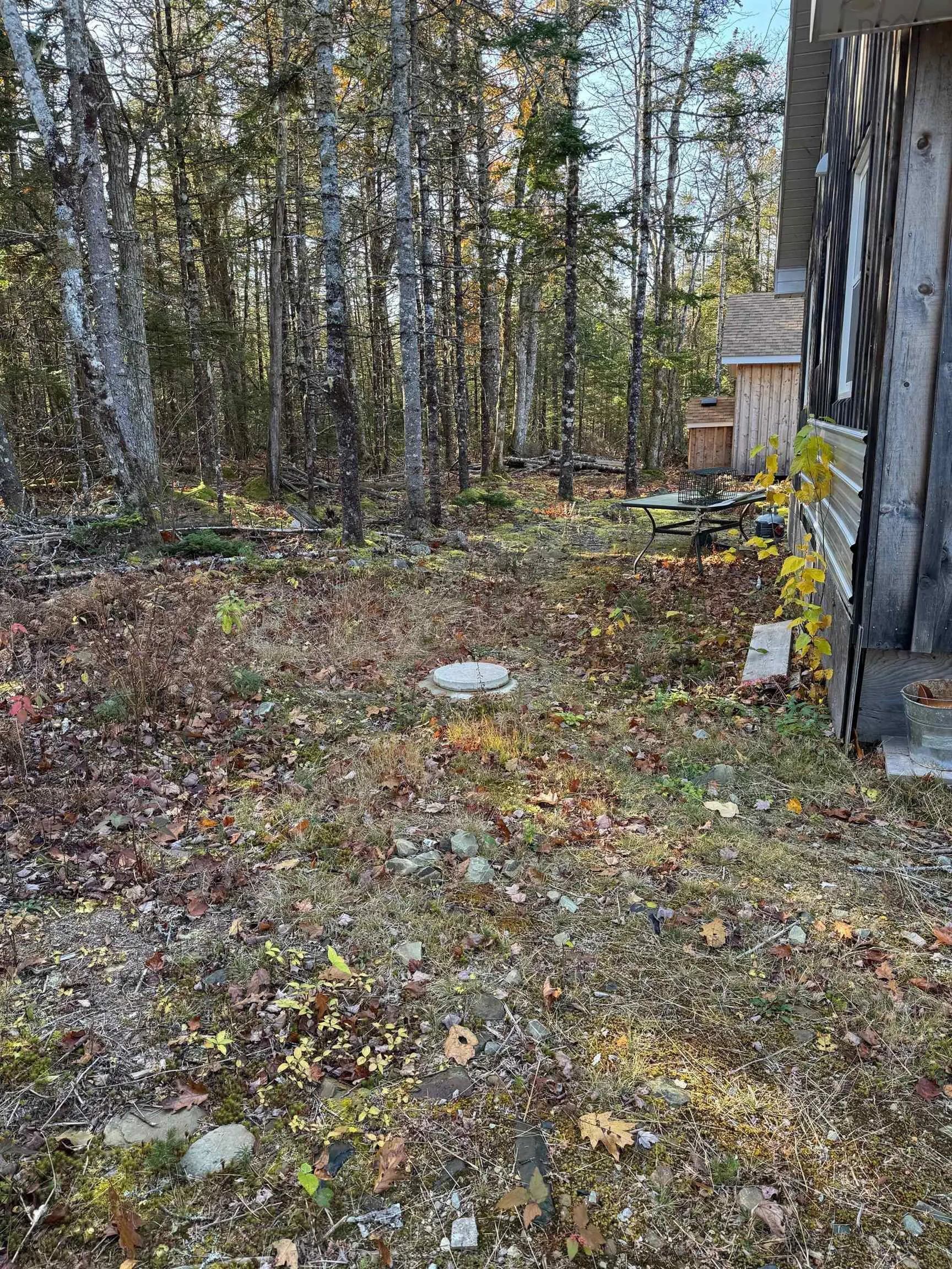 Grant 12417 Rushy Lake, Jacksons Mountain Ns B0w 3m0, 2 Bedrooms Bedrooms, ,1 BathroomBathrooms,Residential,For Sale,Grant 12417 Rushy Lake,202426366