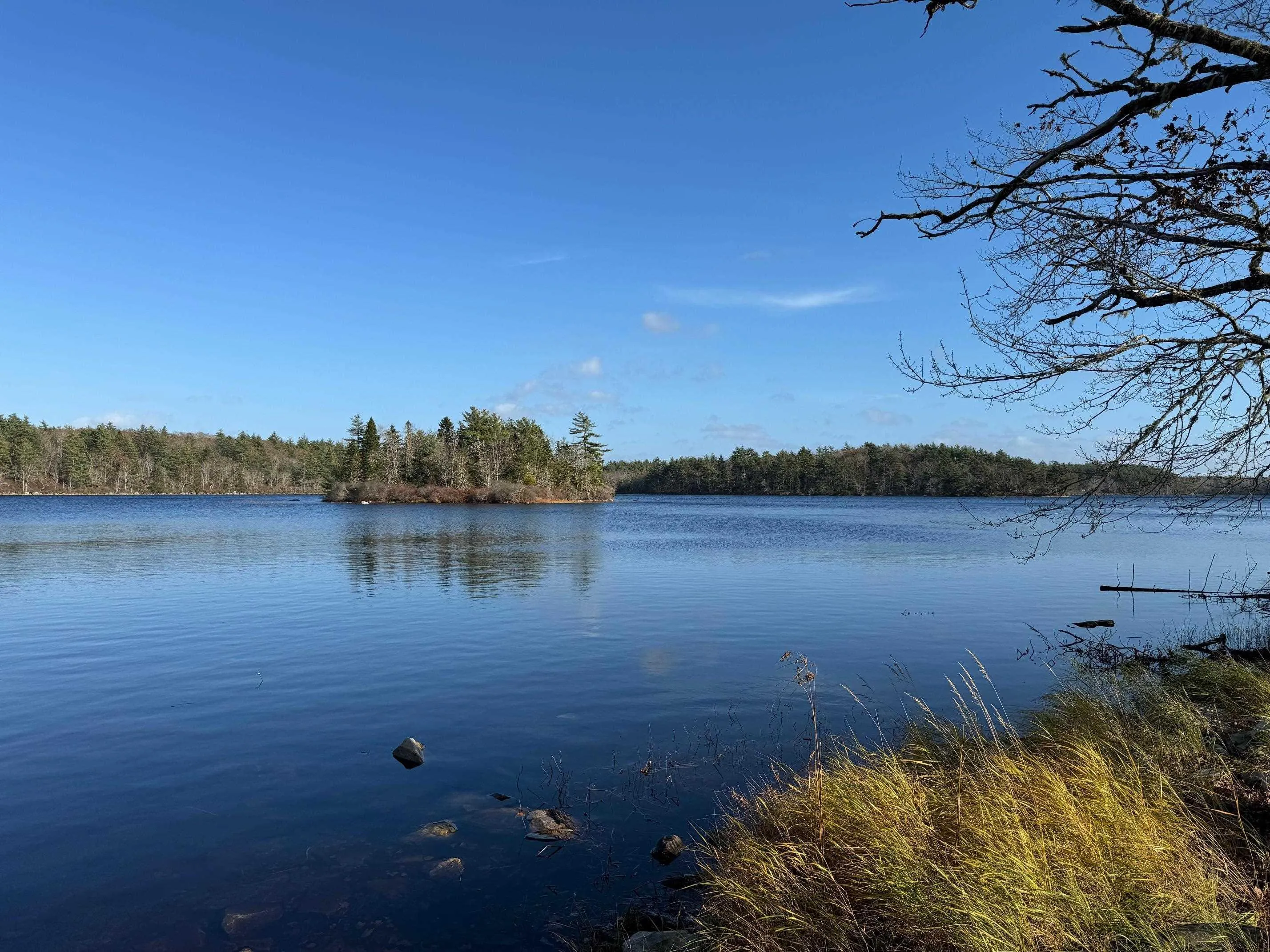 Grant 12417 Rushy Lake, Jacksons Mountain Ns B0w 3m0, 2 Bedrooms Bedrooms, ,1 BathroomBathrooms,Residential,For Sale,Grant 12417 Rushy Lake,202426366