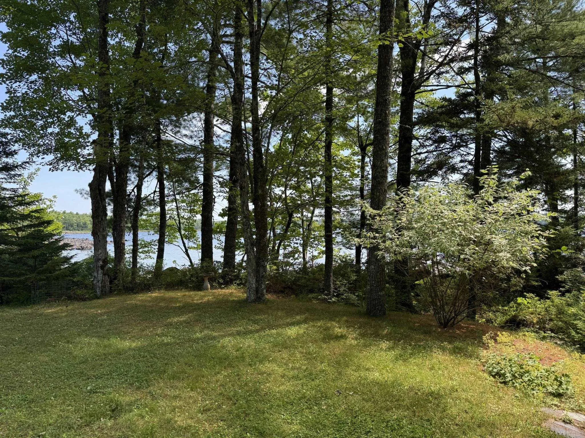 299 Albion Drive, Middlefield, NS B0T 1E0, 1 Bedroom Bedrooms, ,1 BathroomBathrooms,Residential,For Sale,Albion,202519047