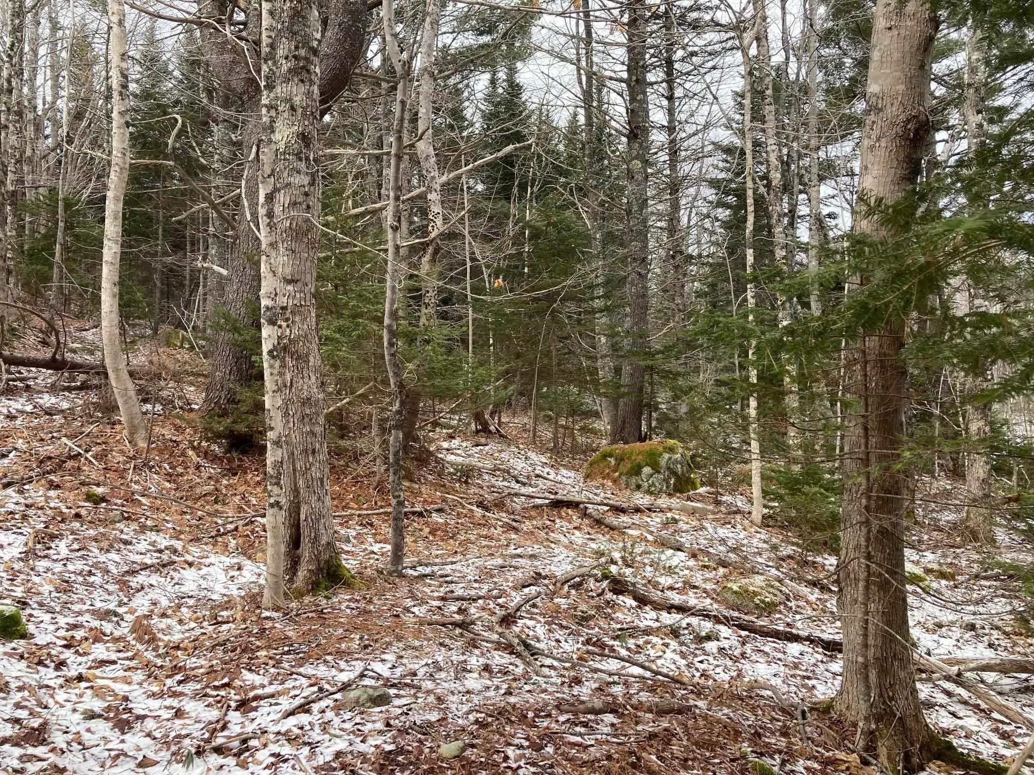 325-4 Acres Of 5440 Highway 325, Baker Settlement Ns B4v 7e9, ,Land,For Sale,Highway 325,202504417