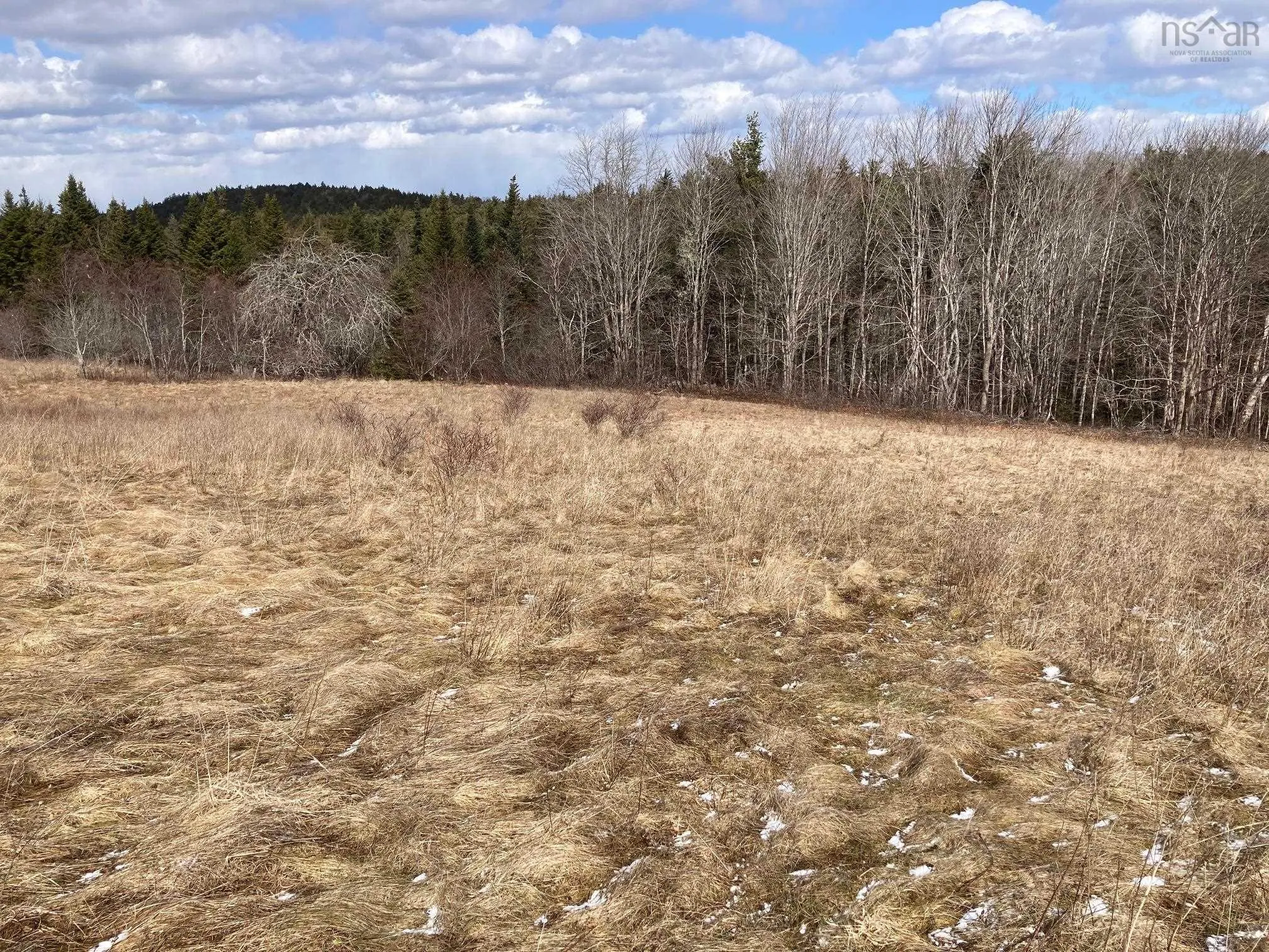 325-4 Acres Of 5440 Highway 325, Baker Settlement Ns B4v 7e9, ,Land,For Sale,Highway 325,202504417