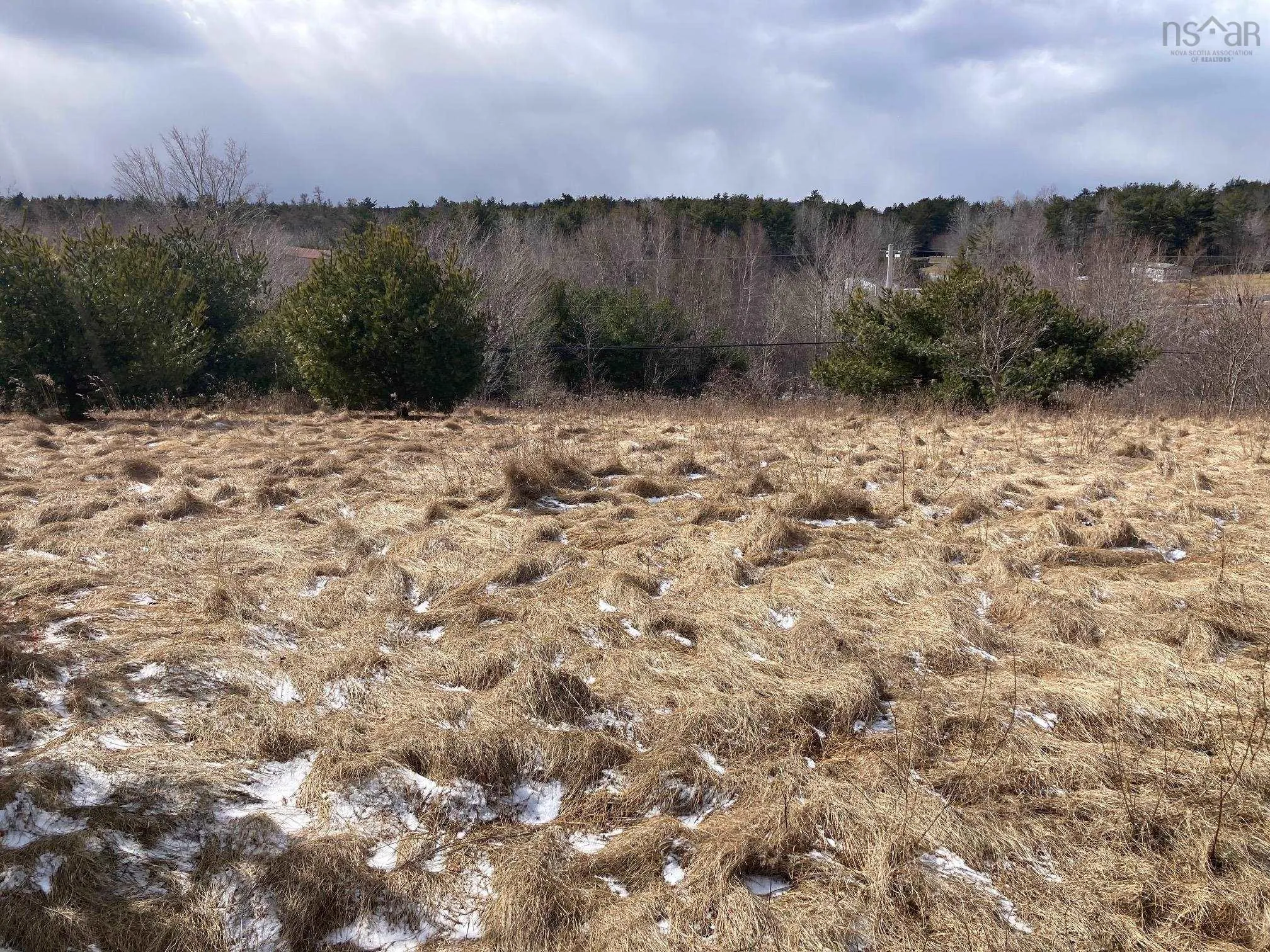325-4 Acres Of 5440 Highway 325, Baker Settlement Ns B4v 7e9, ,Land,For Sale,Highway 325,202504417