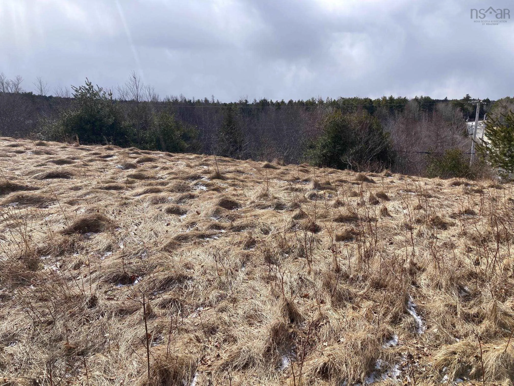 325-4 Acres Of 5440 Highway 325, Baker Settlement Ns B4v 7e9, ,Land,For Sale,Highway 325,202504417