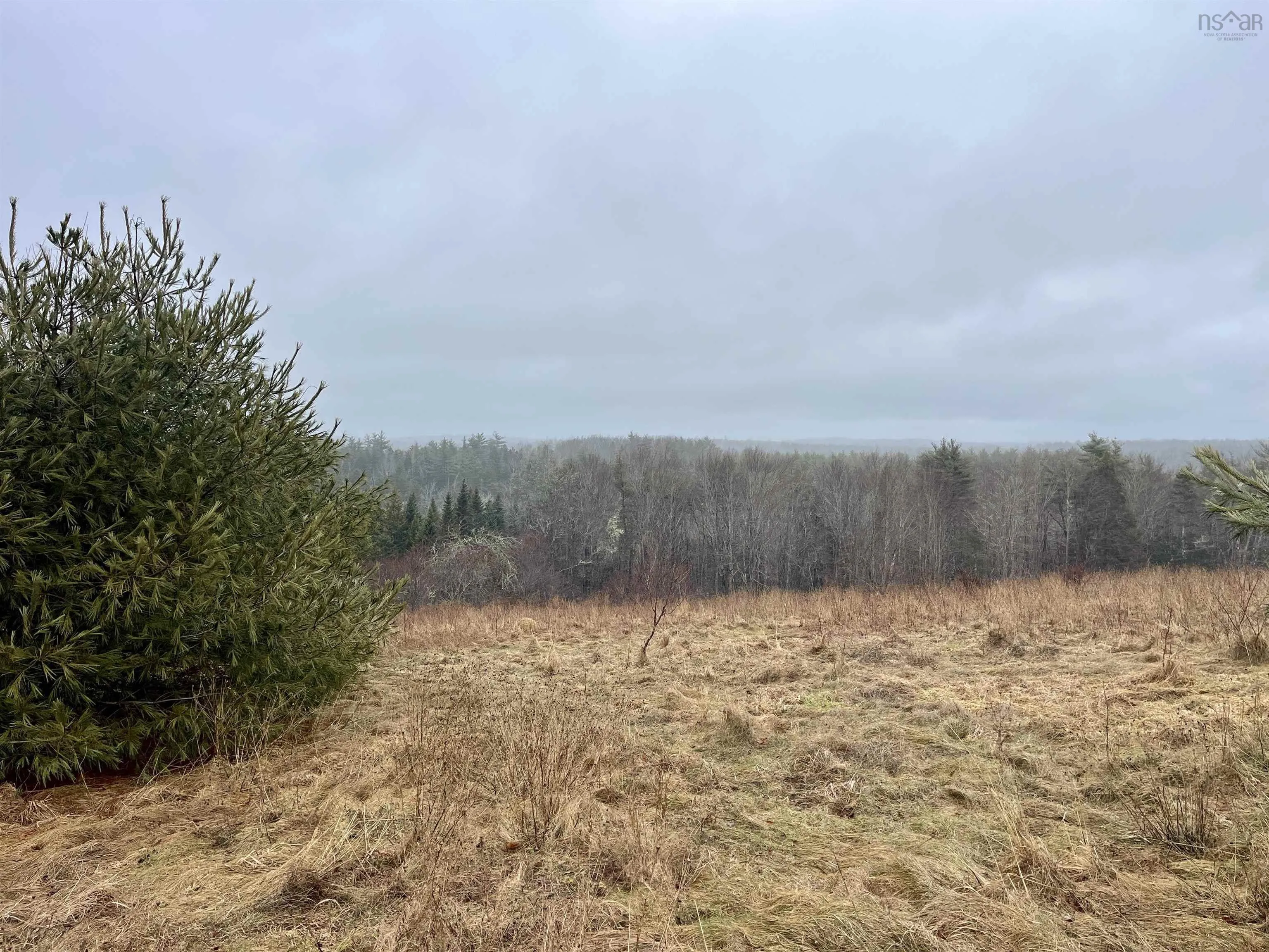 325-4 Acres Of 5440 Highway 325, Baker Settlement Ns B4v 7e9, ,Land,For Sale,Highway 325,202504417