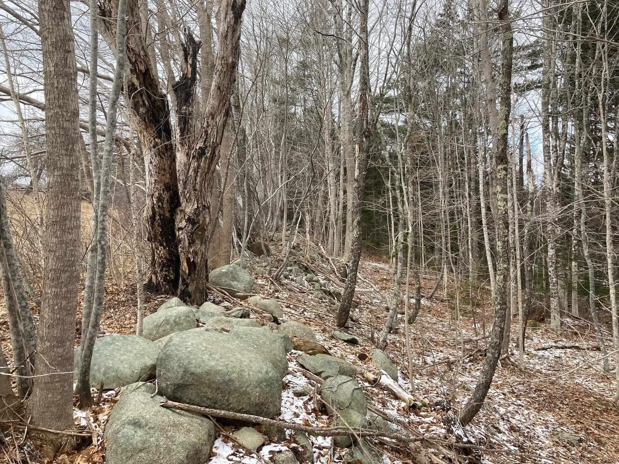 325-4 Acres Of 5440 Highway 325, Baker Settlement Ns B4v 7e9, ,Land,For Sale,Highway 325,202504417