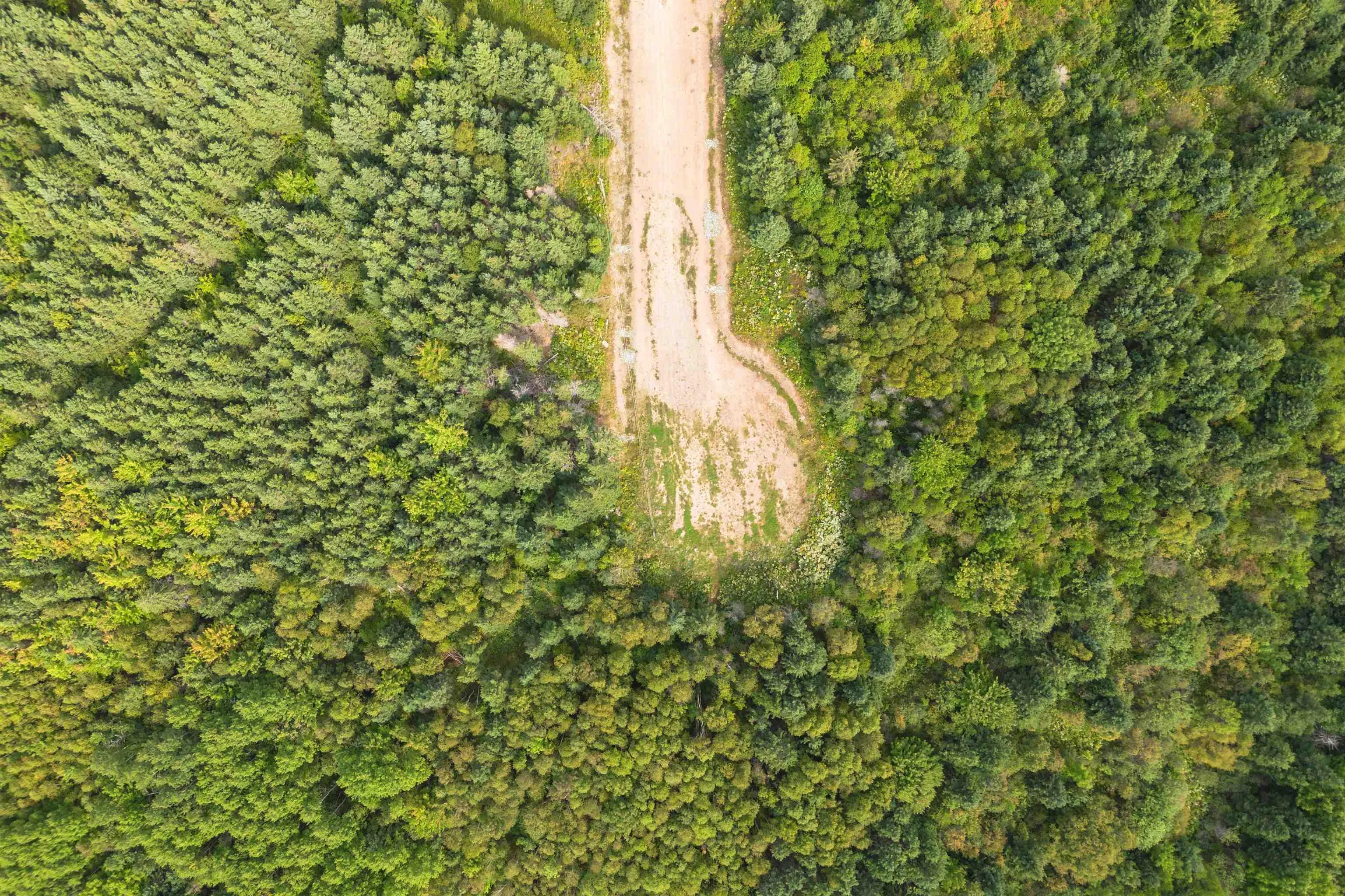 Lot 10 No 19 Highway, Troy NS B9A 1E7, ,Land,For Sale,No 19,202401381