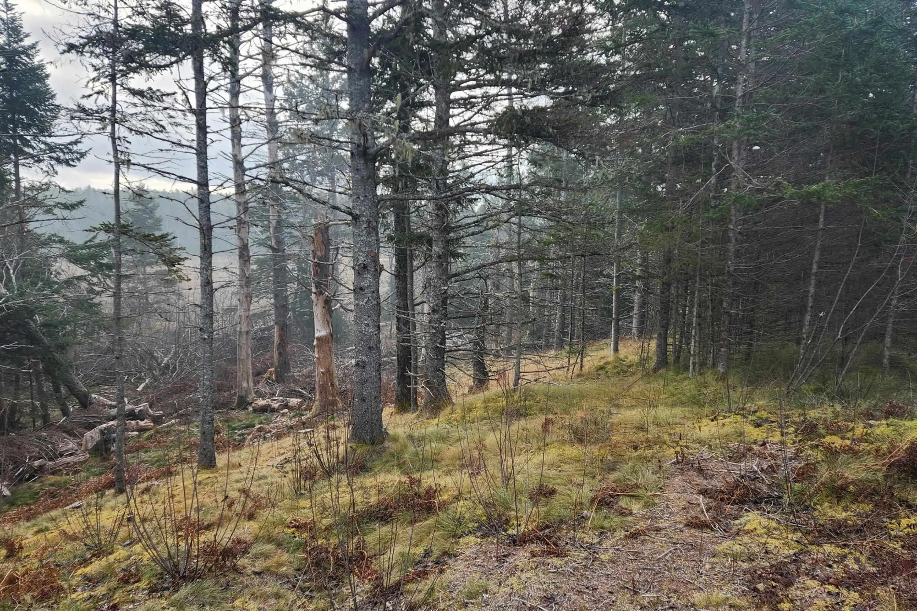 Eastern Avenue, Parrsboro Ns B0m 1s0, ,Land,For Sale,Eastern,202428096